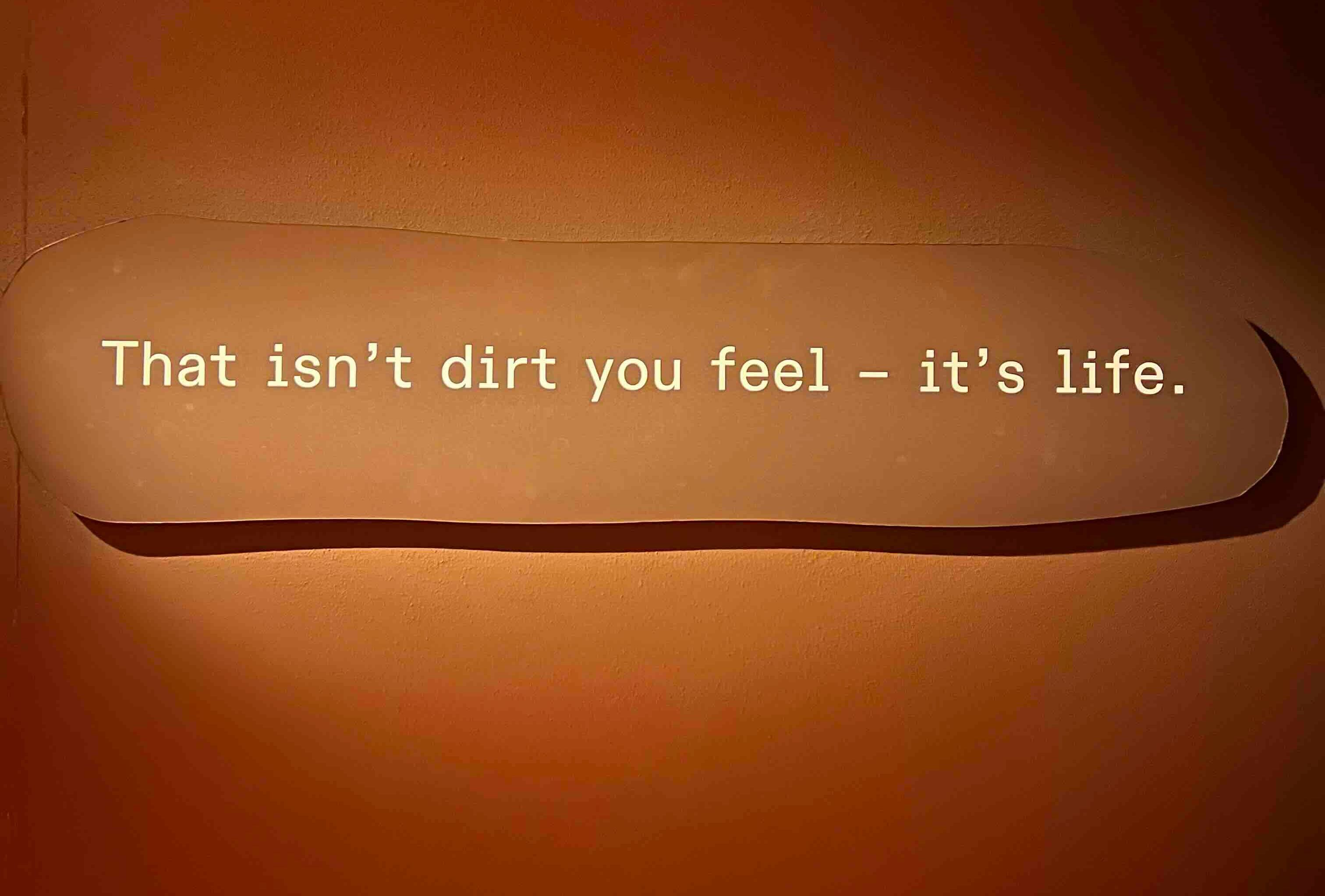 Soil – the world's last great frontier – and why Moët is focused on it