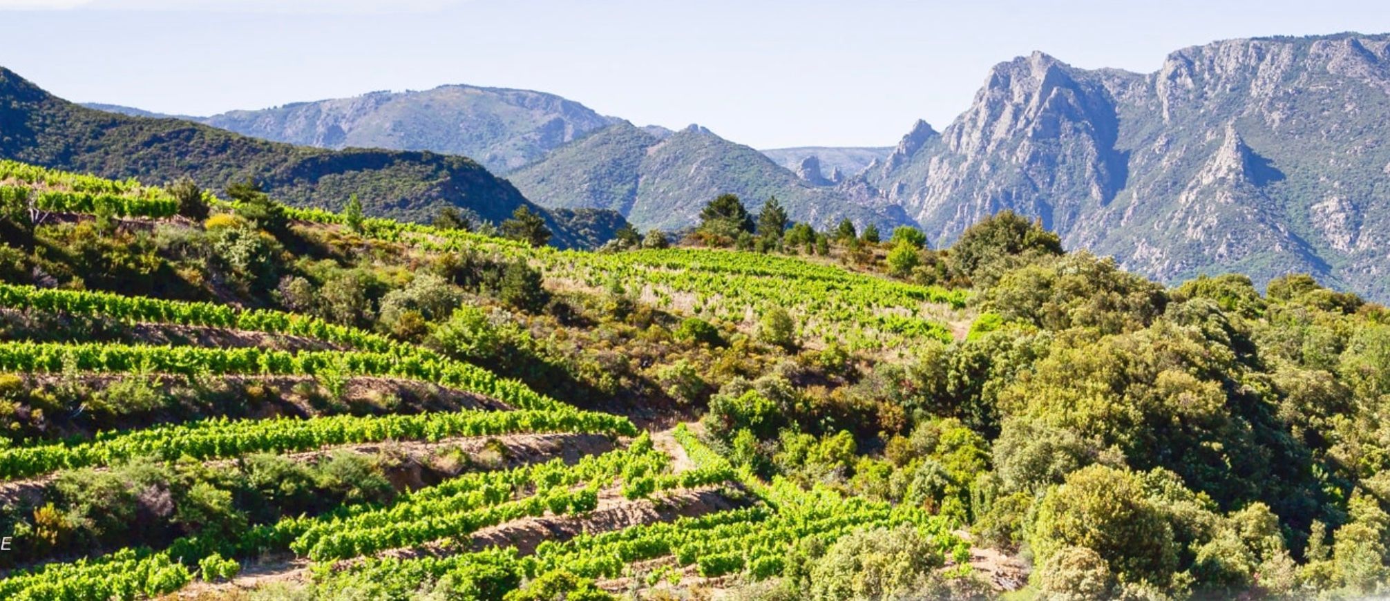 How surf, wind and altitude is key to Languedoc’s terroir and wines