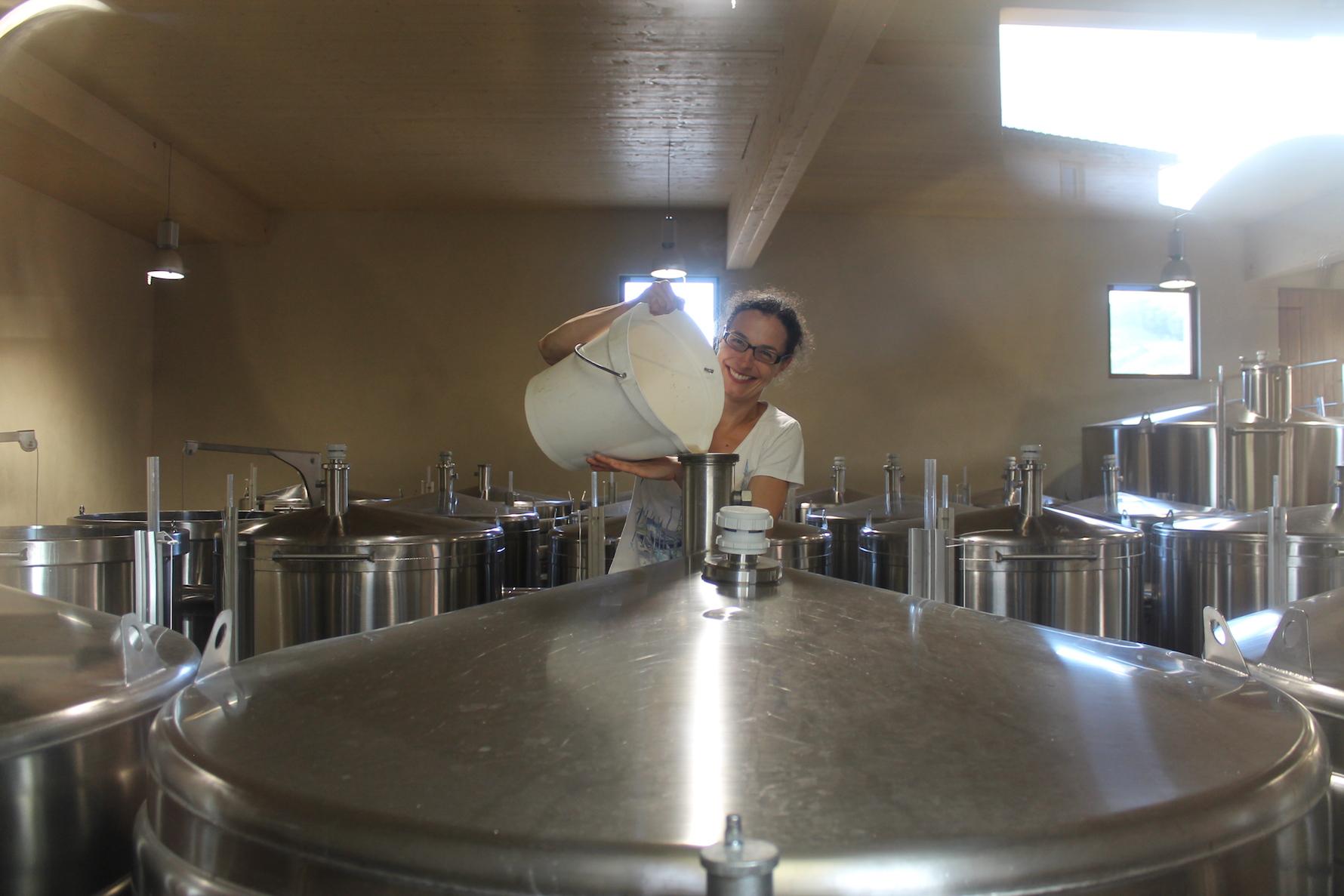 Domaine Ferret & Pouilly-Fuissé’s new premier cru classification