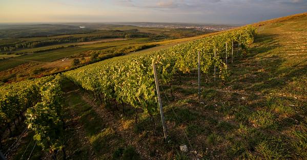 Egri Bikavér the wine formerly known as Bull’s Blood