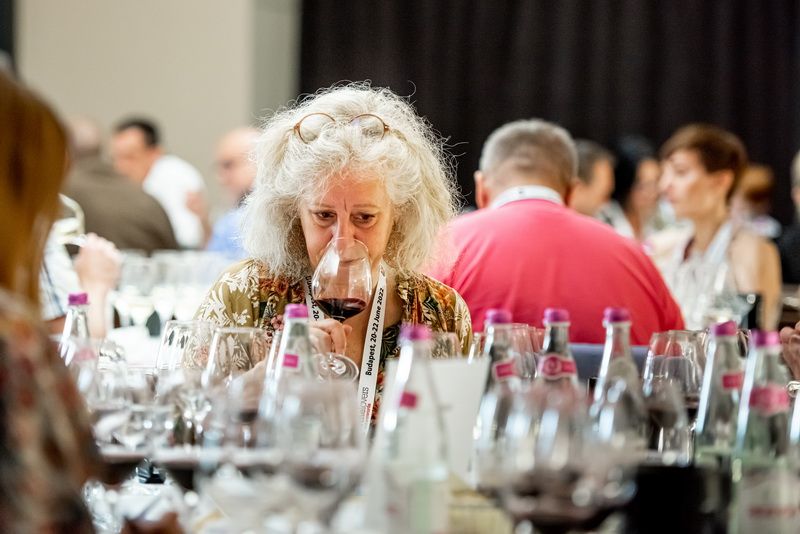 Discover wines from Central Europe with Winelovers Wine Awards