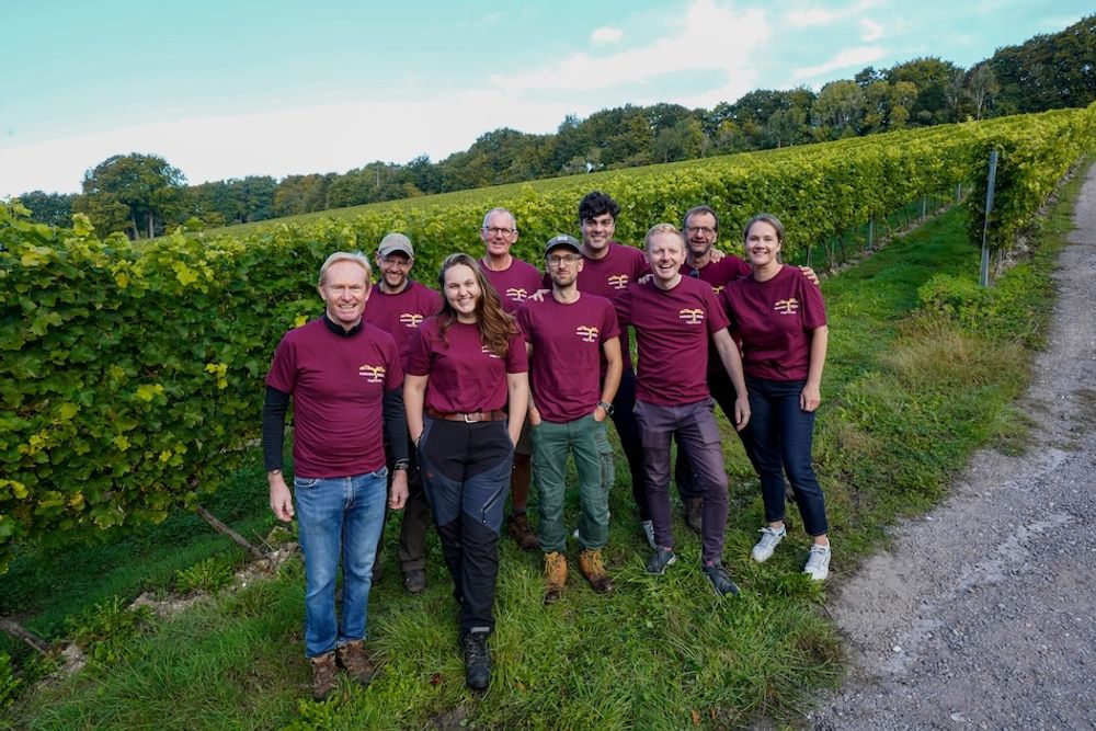 British still wine