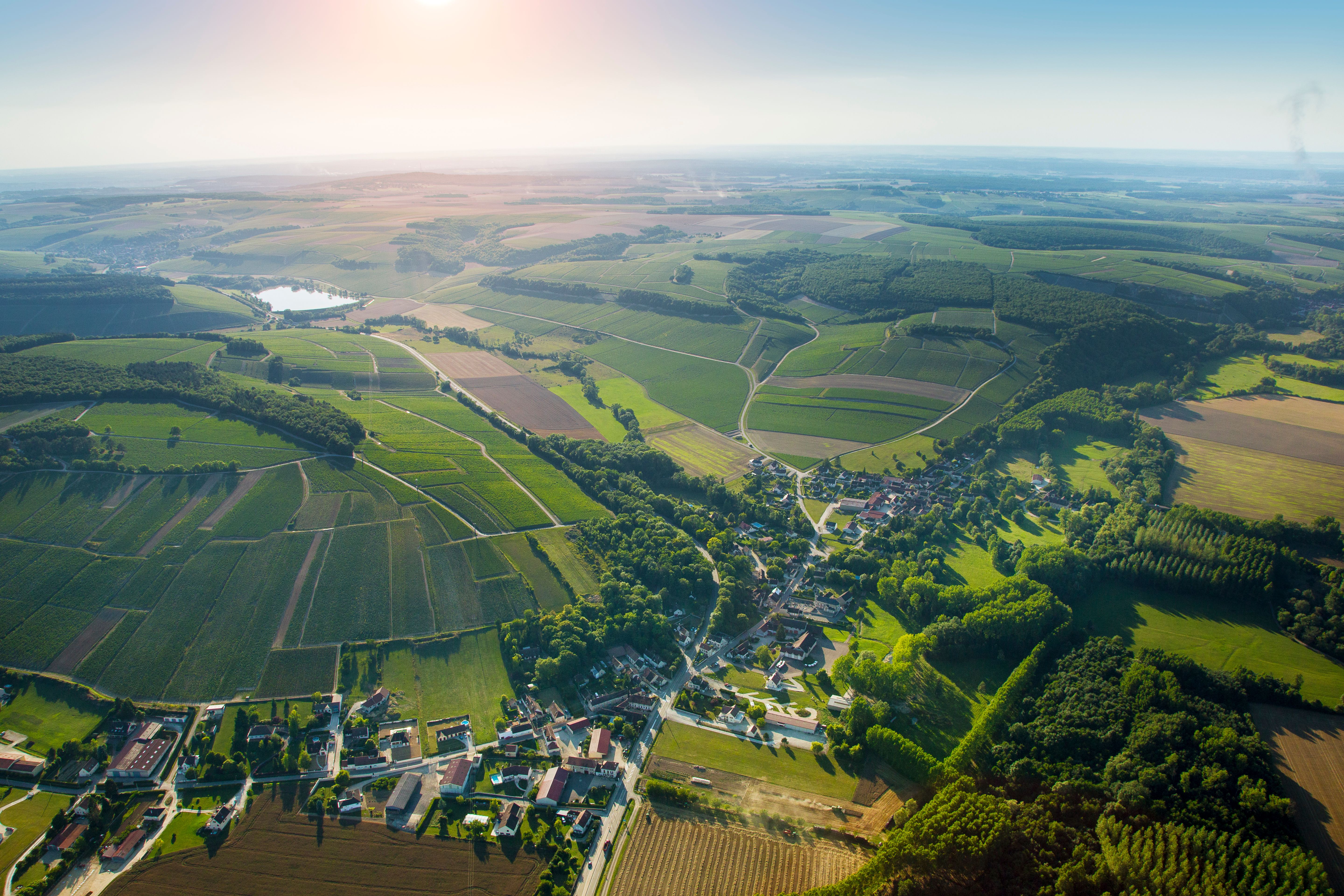 How Chablis is looking to attract younger drinkers around the world