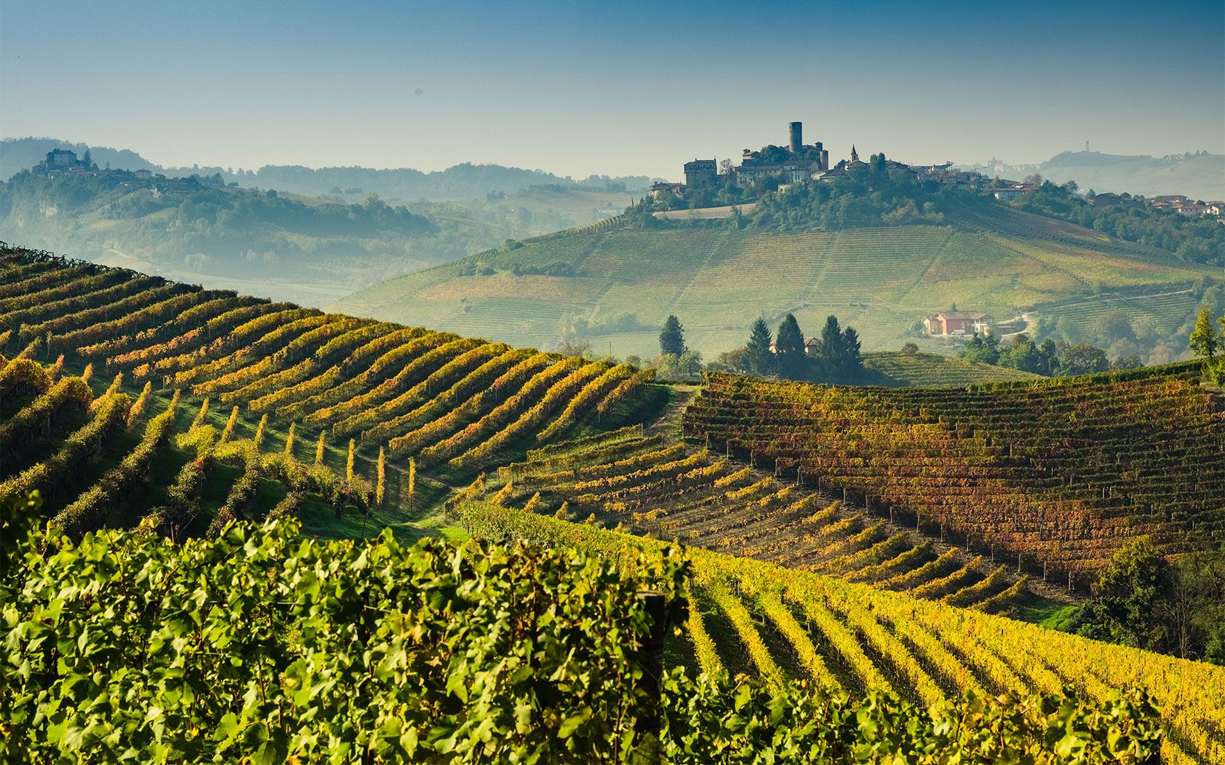 Barolo, Barbaresco, Langhe & Nebbiolo tasting: what to expect