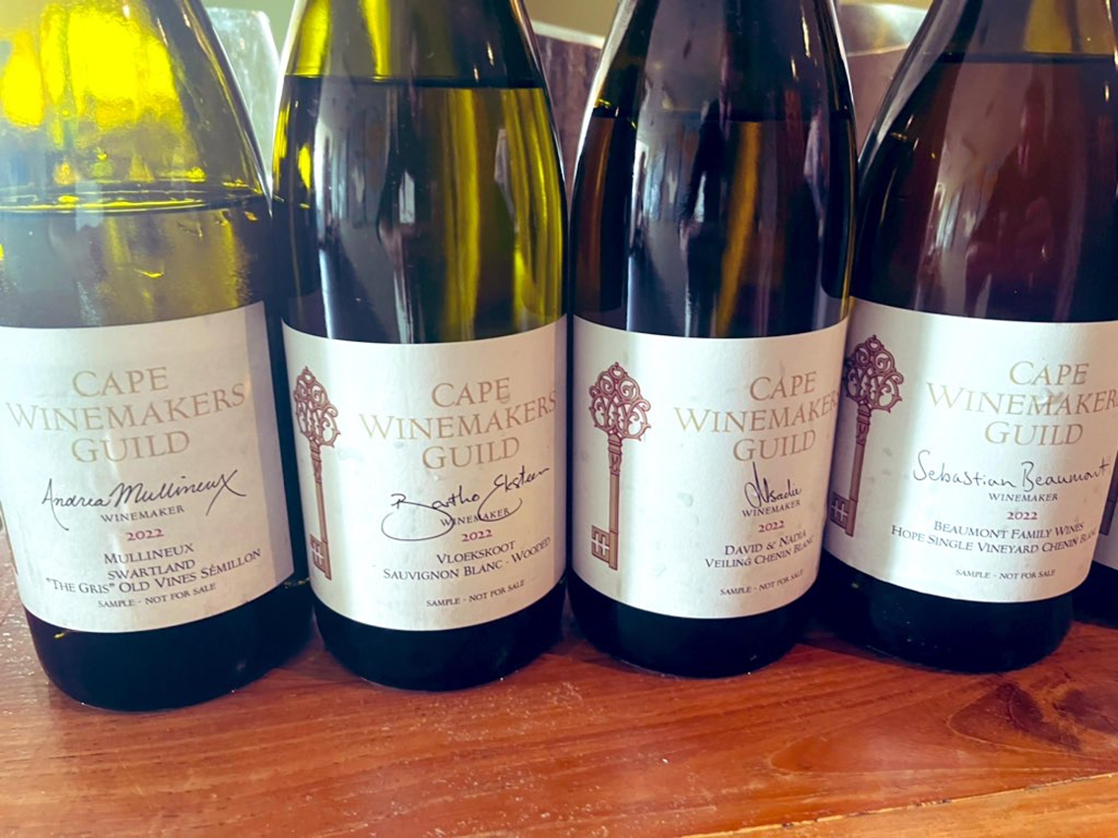 What wines to bid for at 2023 Cape Winemakers Guild Auction