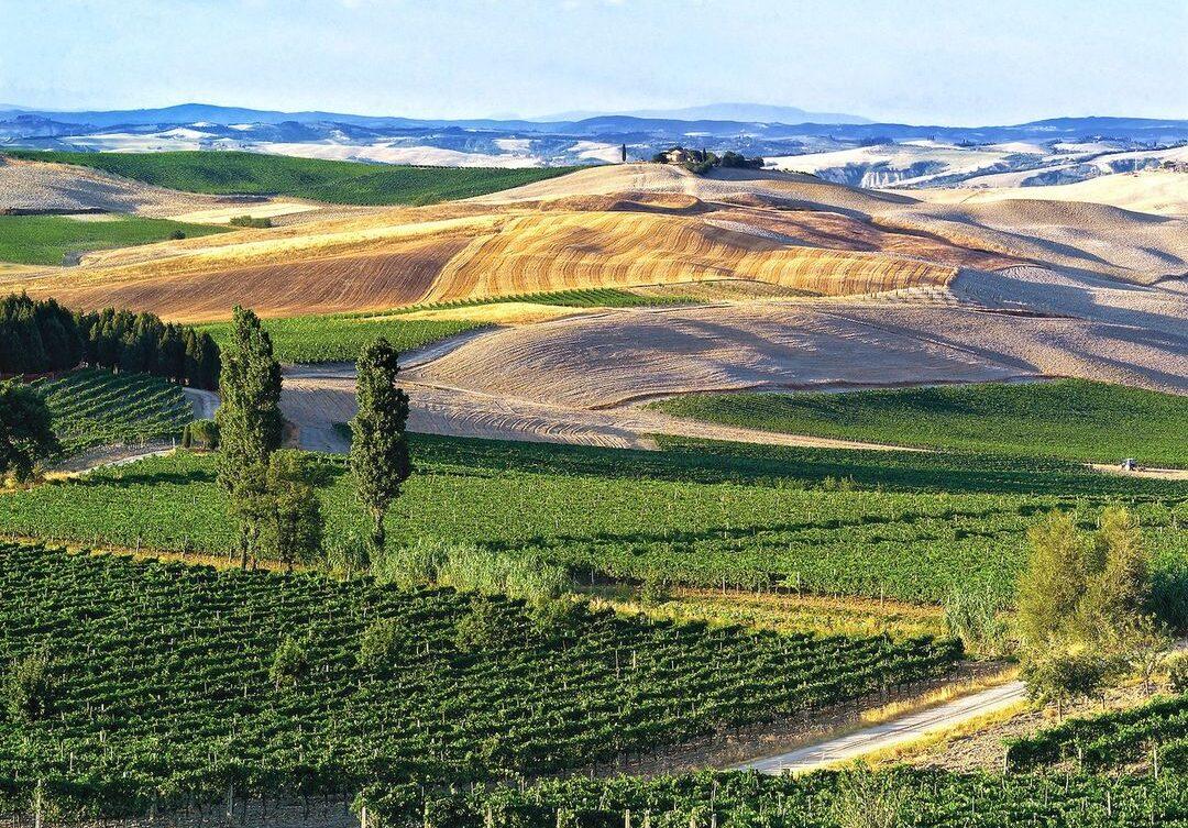 Top 12 wines from 1st Brunello di Montalcino 2018 en primeurs