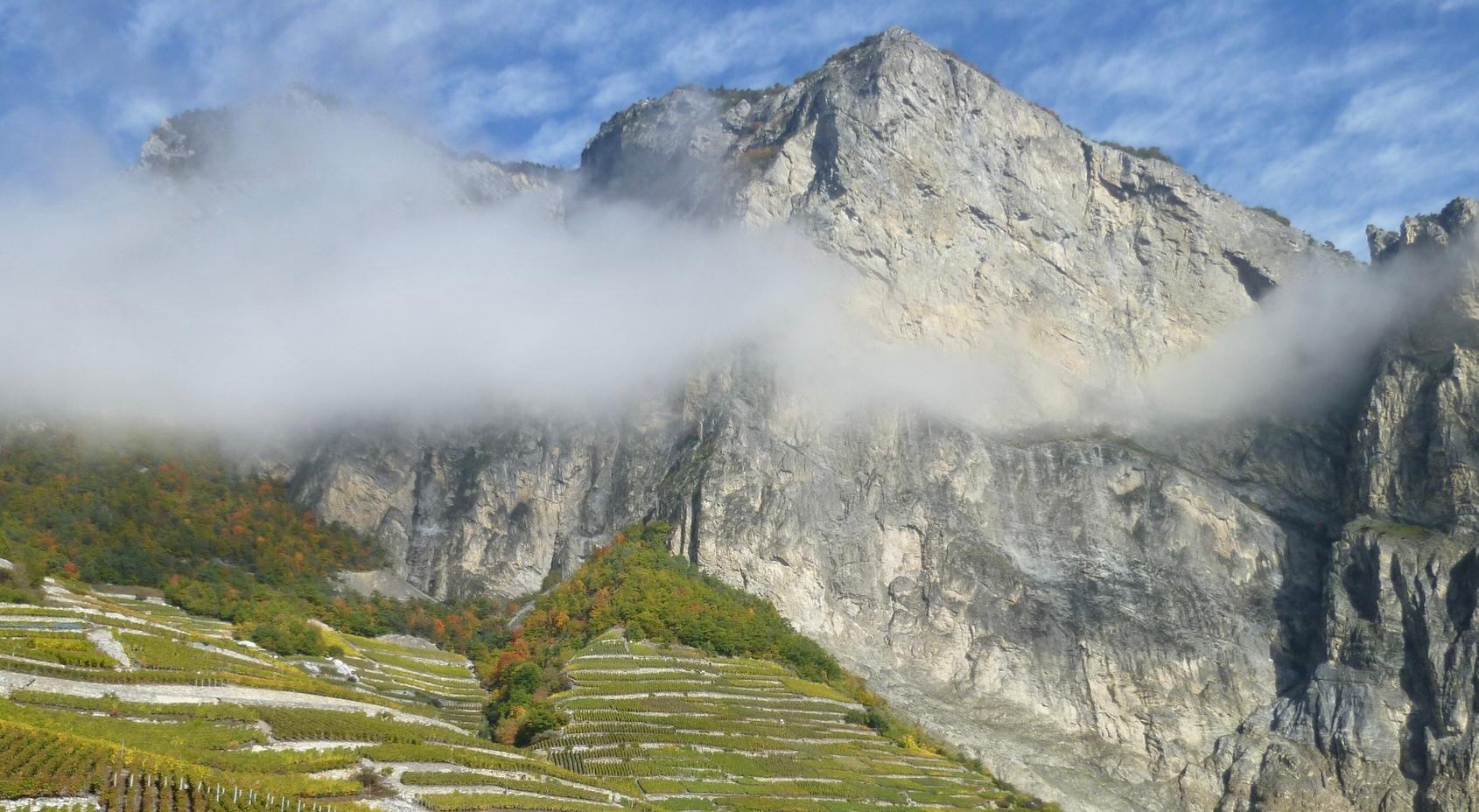 What to expect from the UK's second Swiss Wine Week 