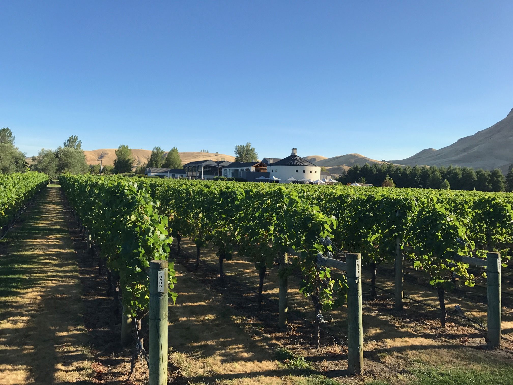 The Tri Nations Wine Challenges Round 6 – NZ vs South Africa