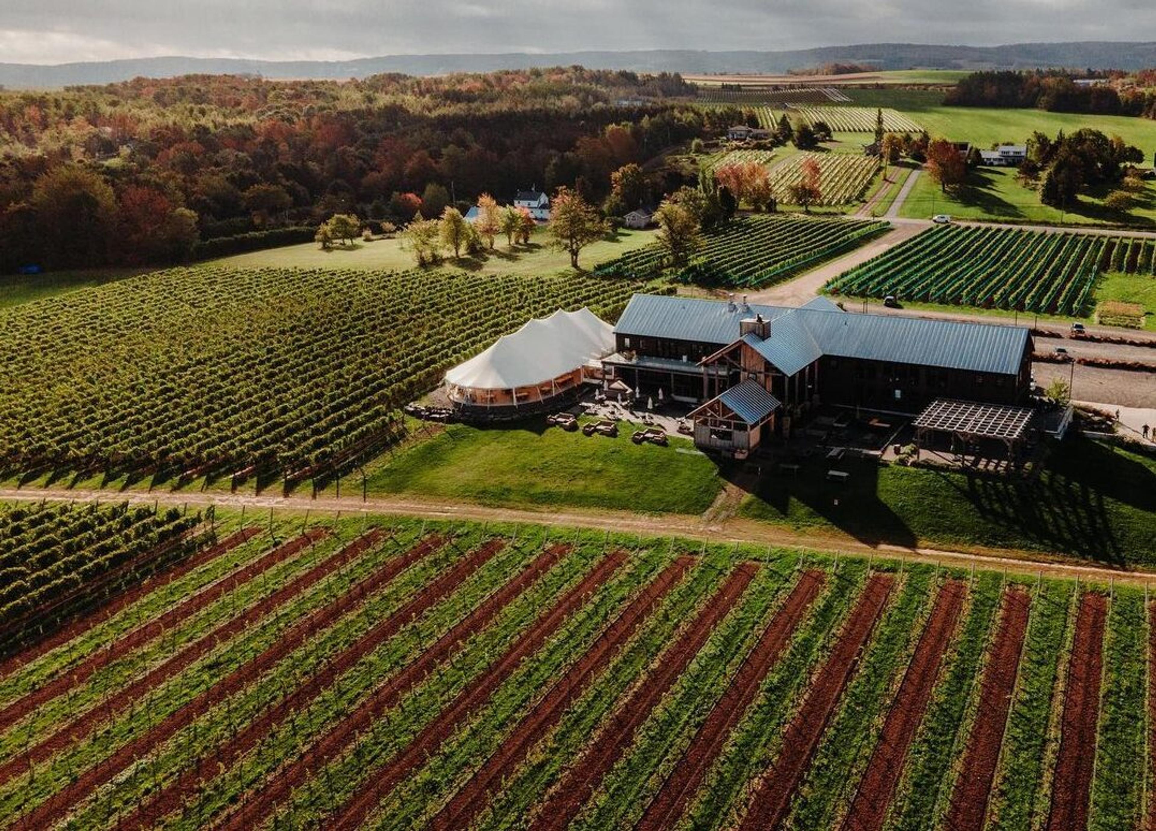 Justin Keay: 10 top Canadian wine estates at its annual tasting