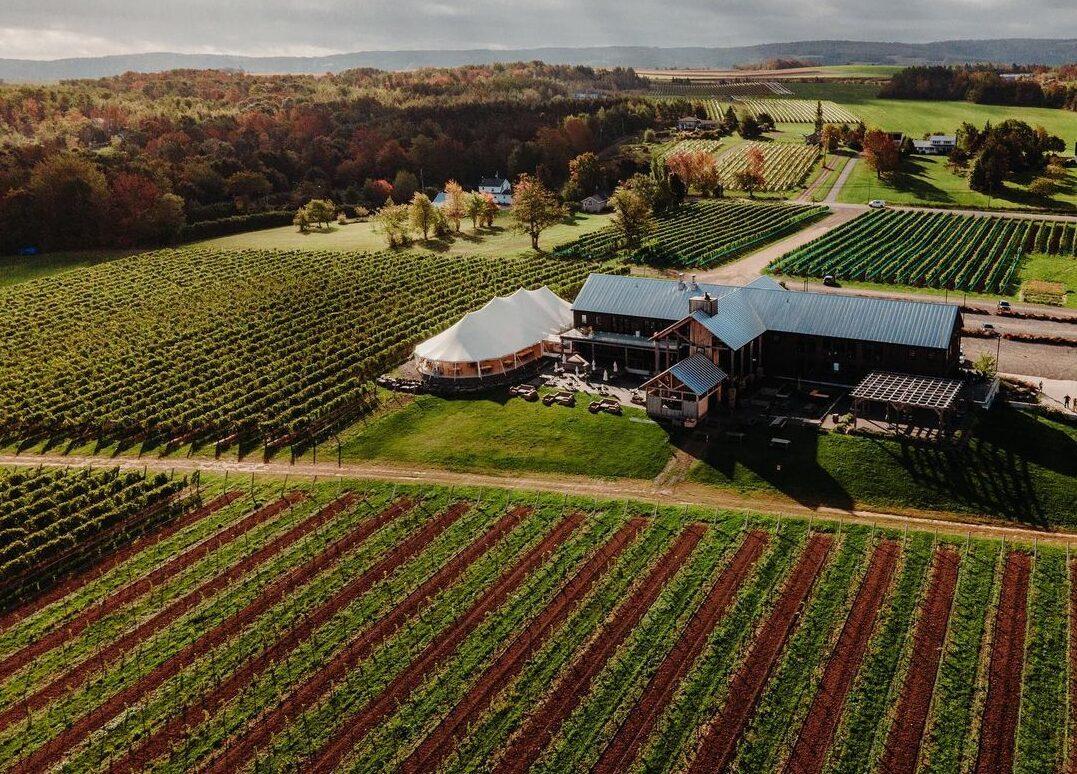 Justin Keay: 10 top Canadian wine estates at its annual tasting