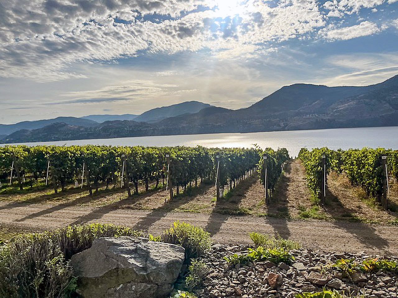 Finbar Cahill on discovering wine gems in Ontario and Okanagan