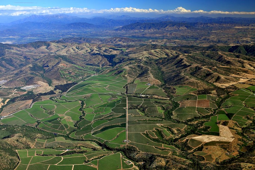 Vina Leyda