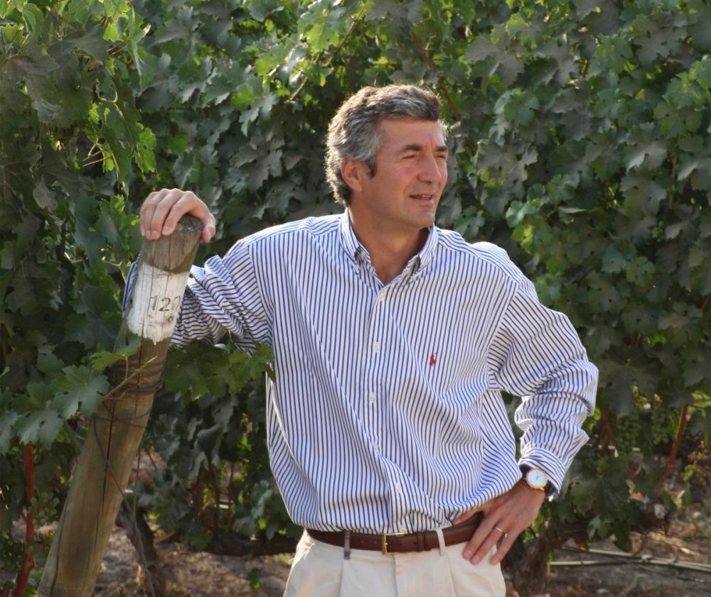 The Buyer