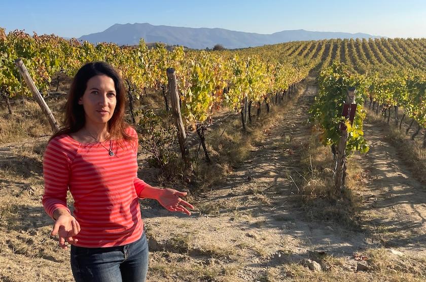 How Bulgarian wineries have spotted niche opportunities for a revival