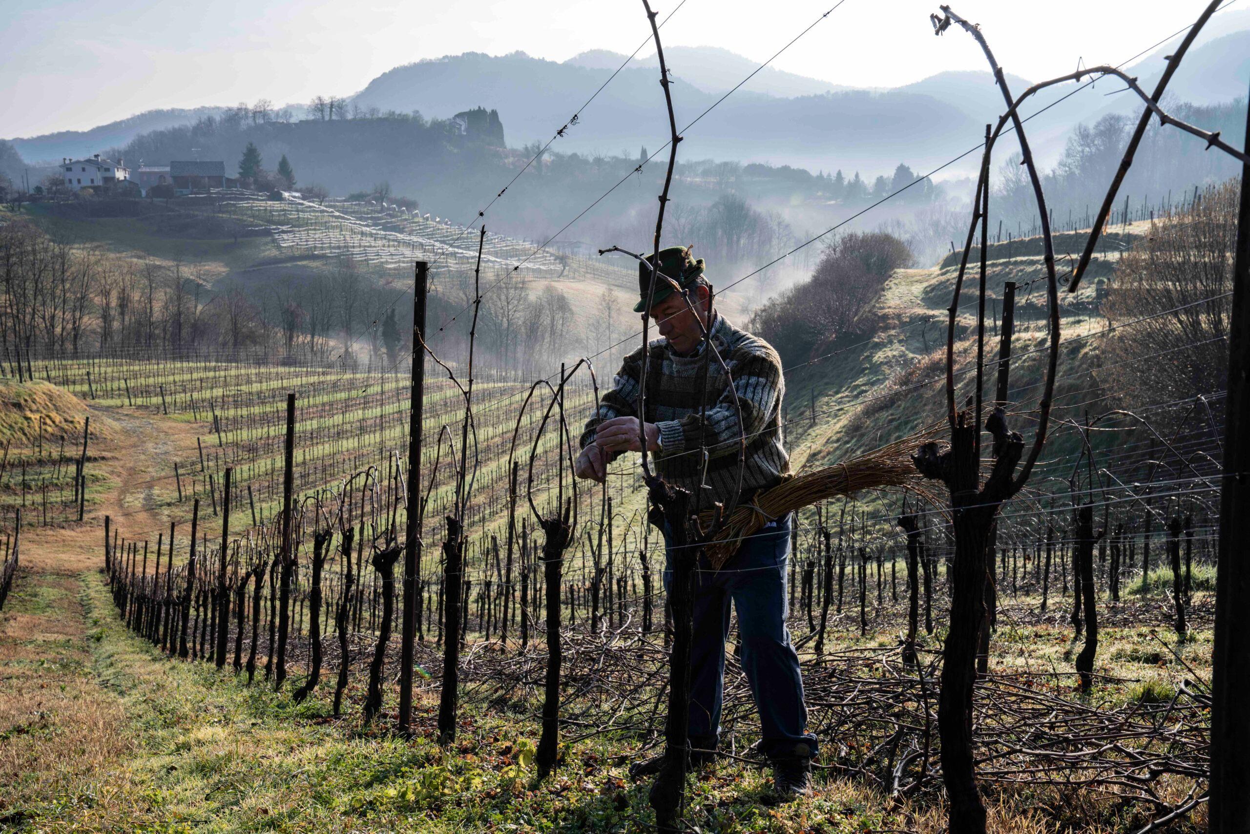 De Pasquale on what make Asolo Prosecco Superiore DOCG unique