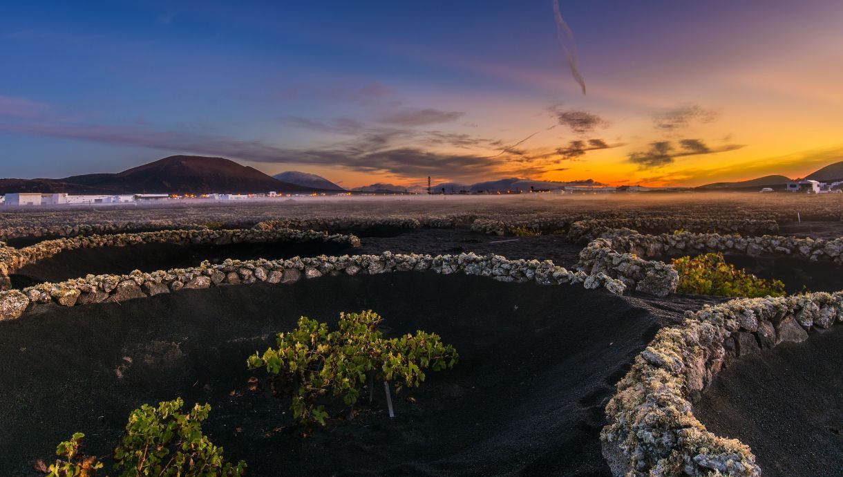 Why volcanic Lanzarote wines are set to have a bright future