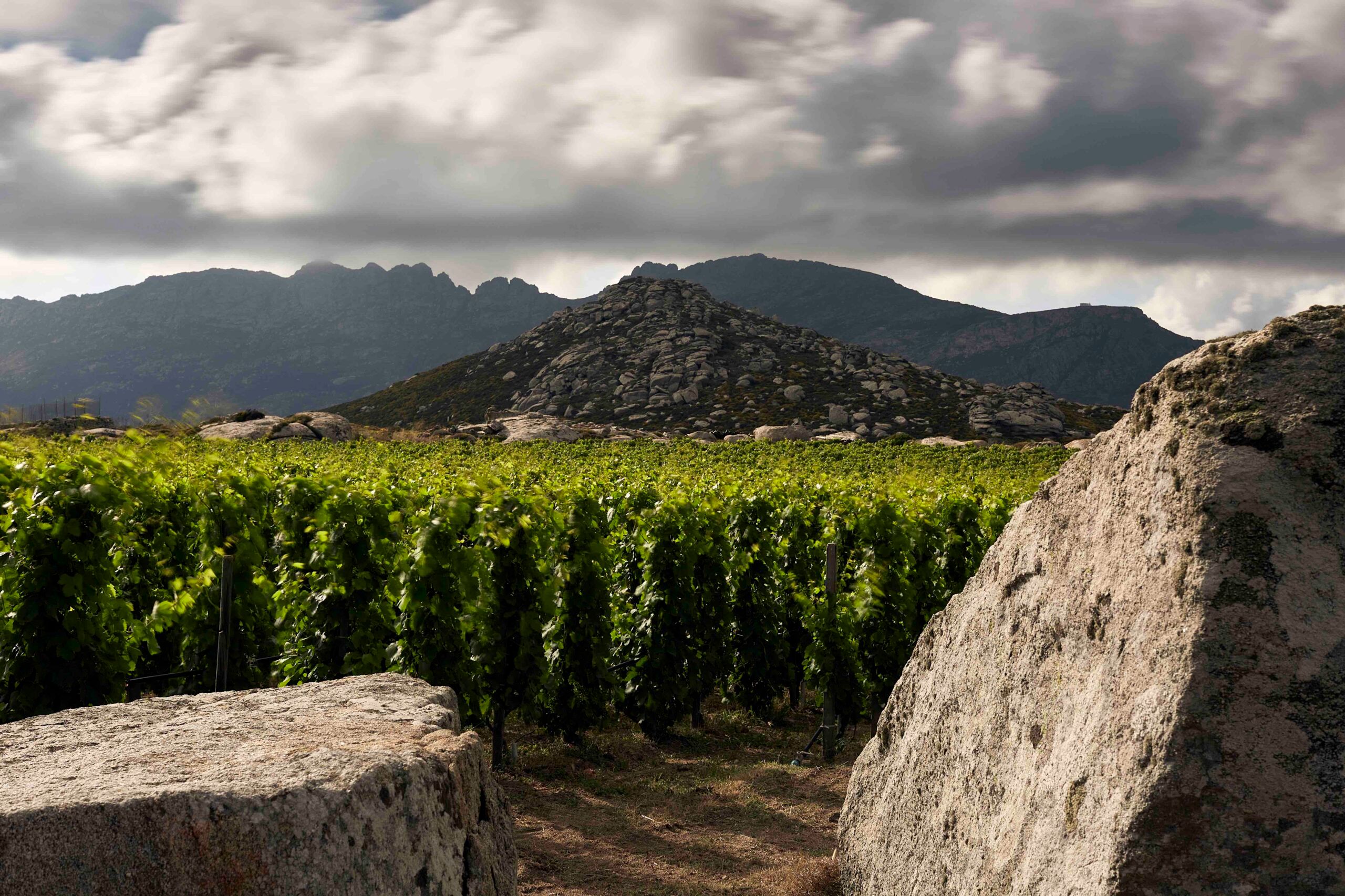 How T-Oinos wines hail from one of the most unique vineyards on earth