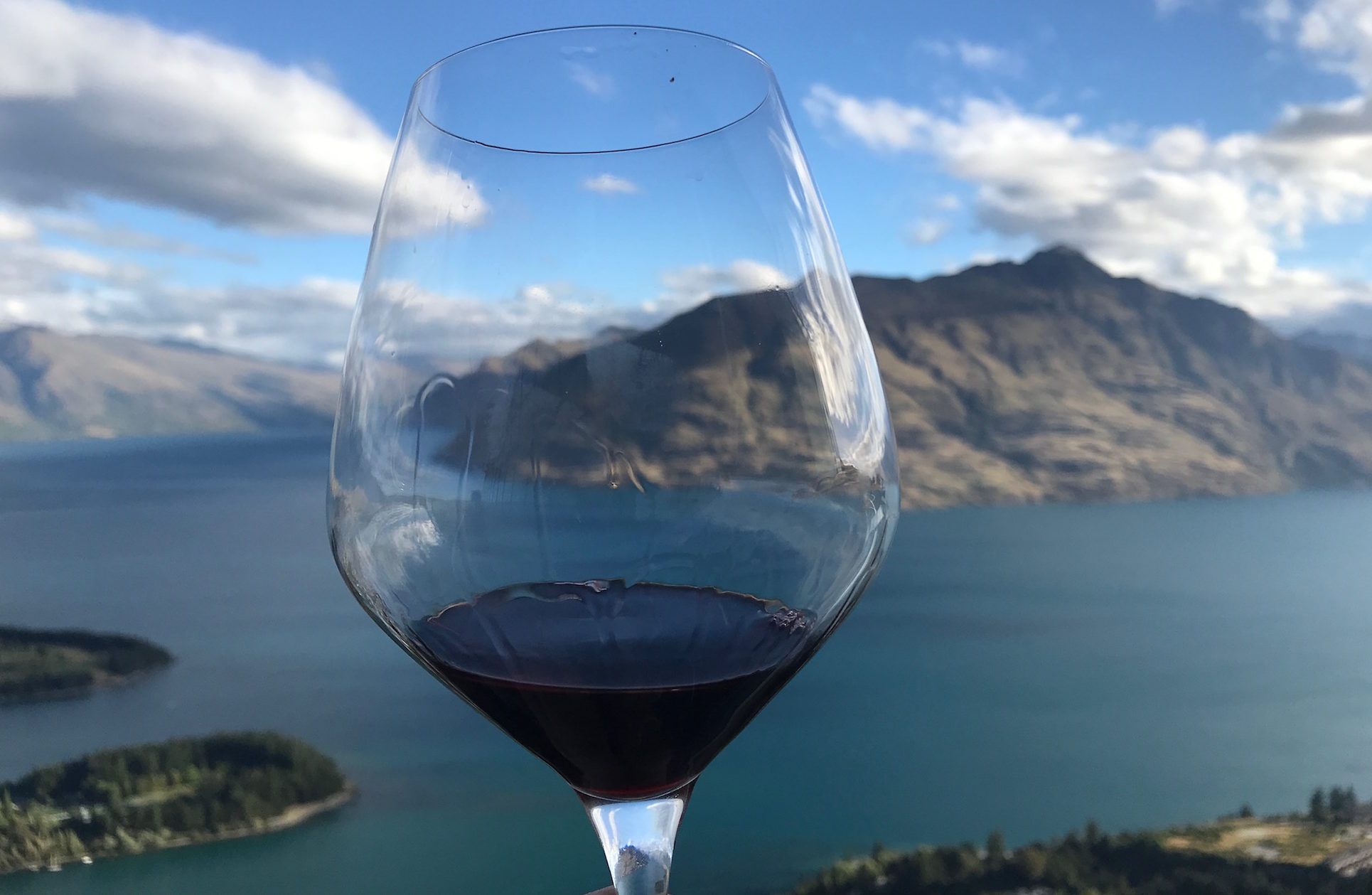 Why Chardonnay and Pinot Noir are NZ’s ‘most successful grapes’