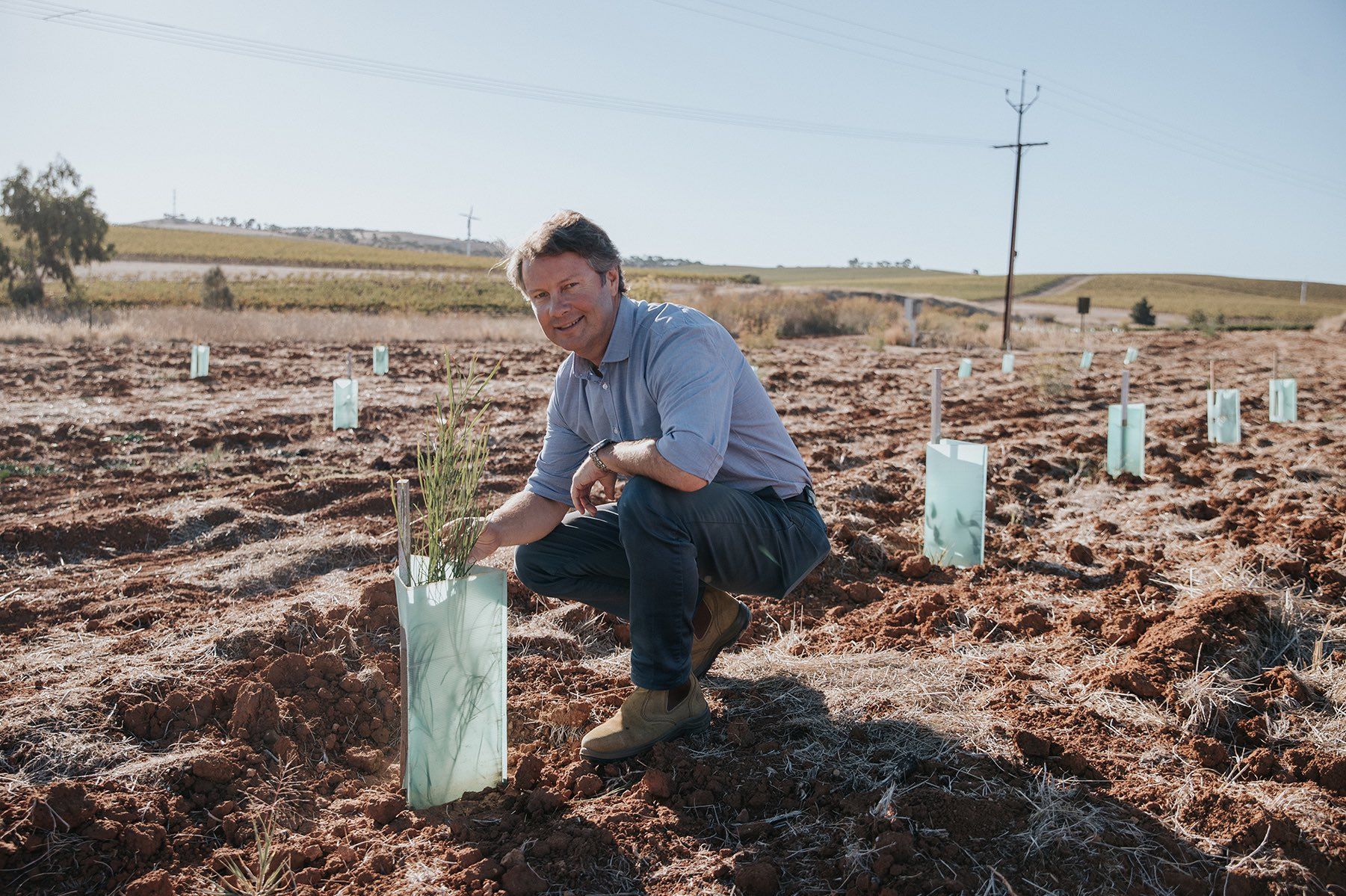 How Wakefield Wines is leading climate change challenge