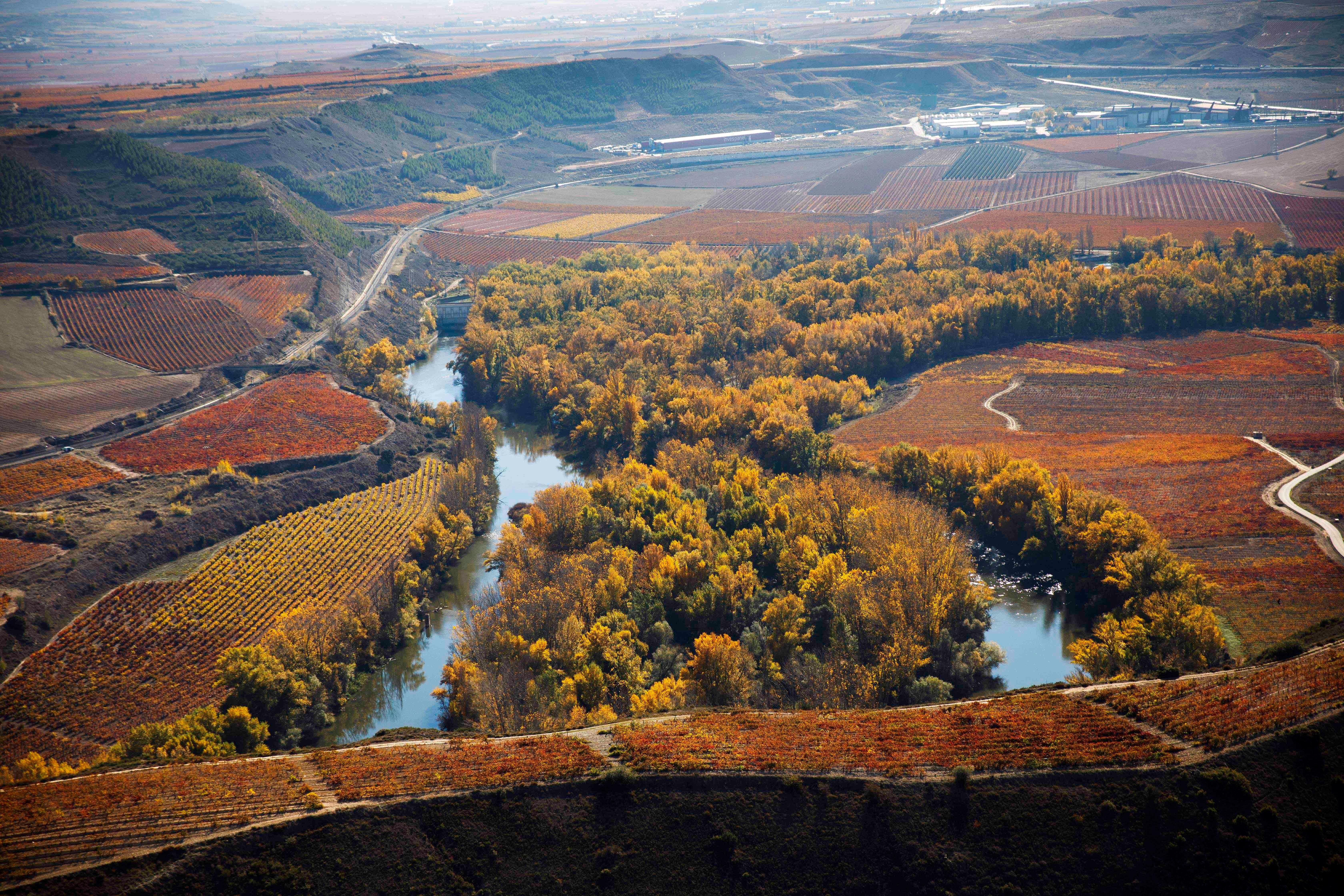 Rioja Somm'er School: All you need to know about Rioja Alta 