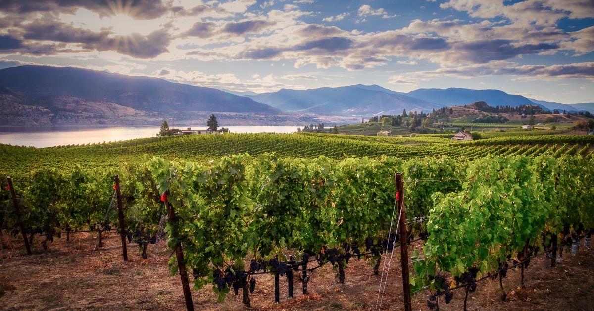 Janet Harrison: find time to go to Canada’s Okanagan Valley