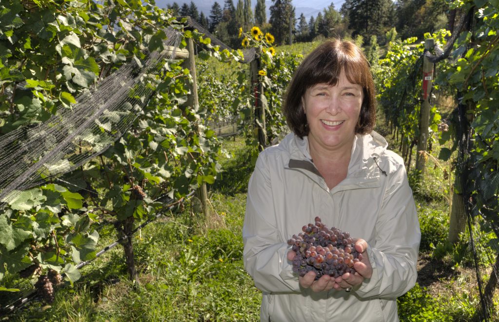 Christine Coletta: bringing Canadian crush pad wines to UK