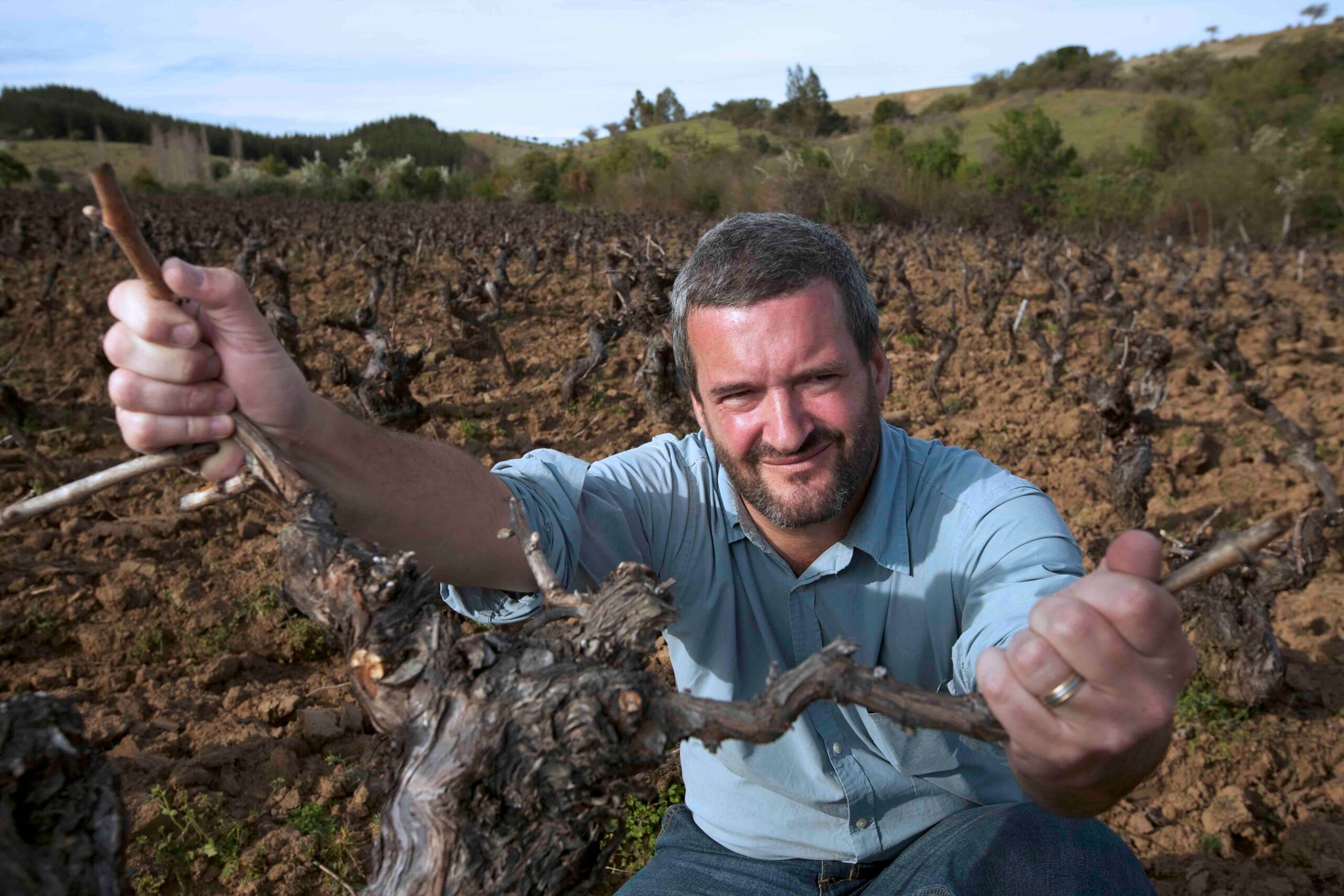 How Garage Wine Co is reviving Chile’s old vineyards