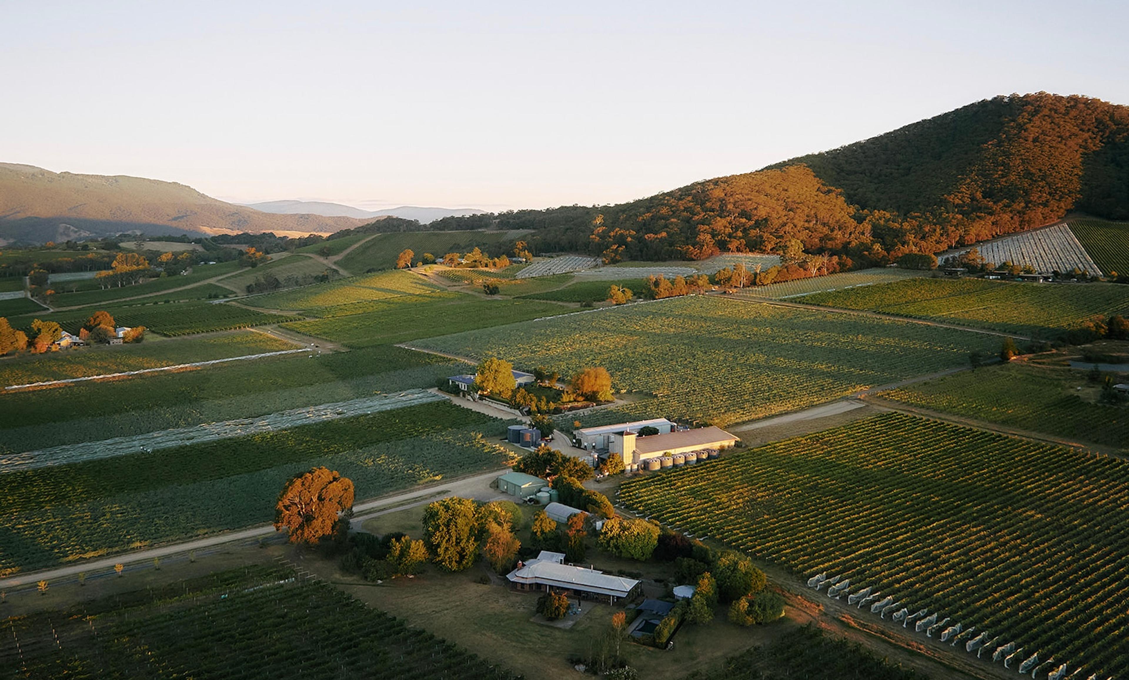 How Yarra Yering is putting its soils and vineyards centre stage