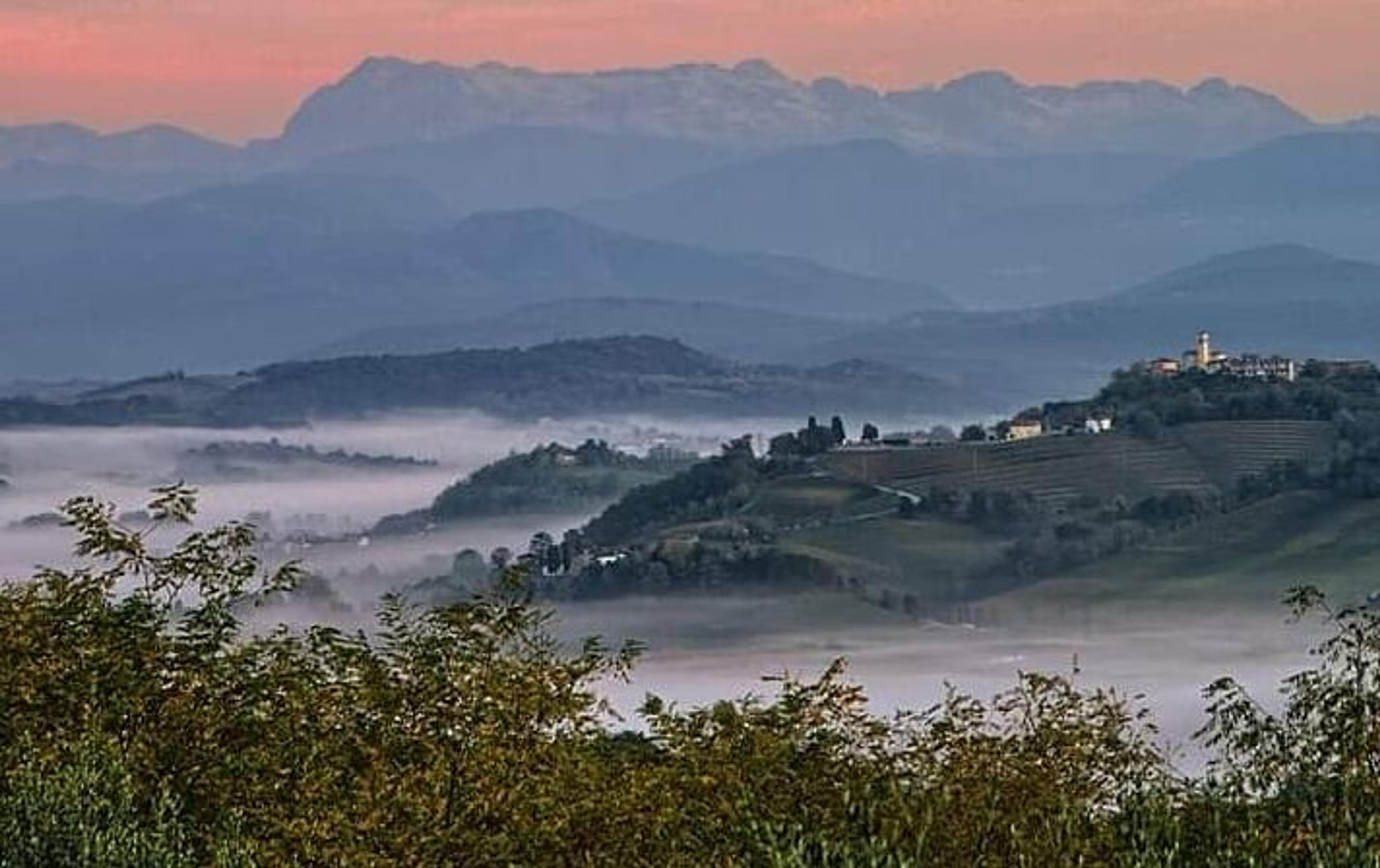 Discovering the hidden gems of Italian wine region Collio DOC
