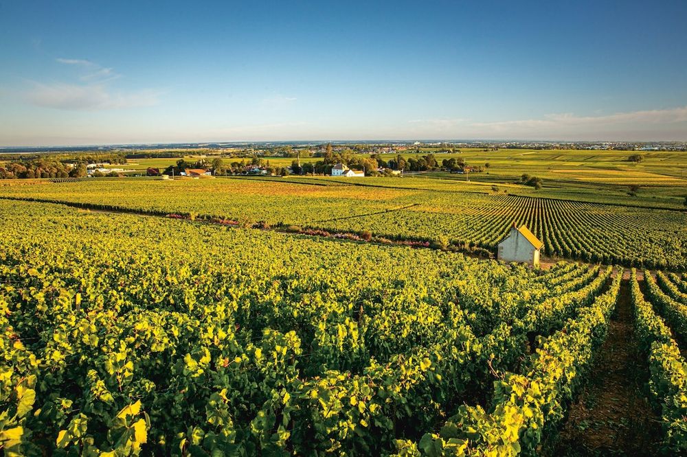 Clos Des Ursules