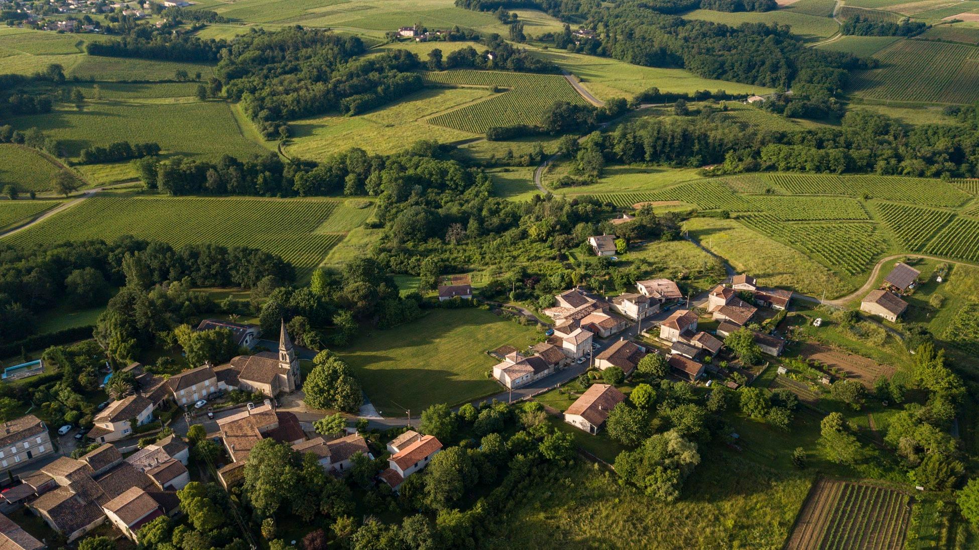 How female winemakers look to help re-invent Bordeaux wines