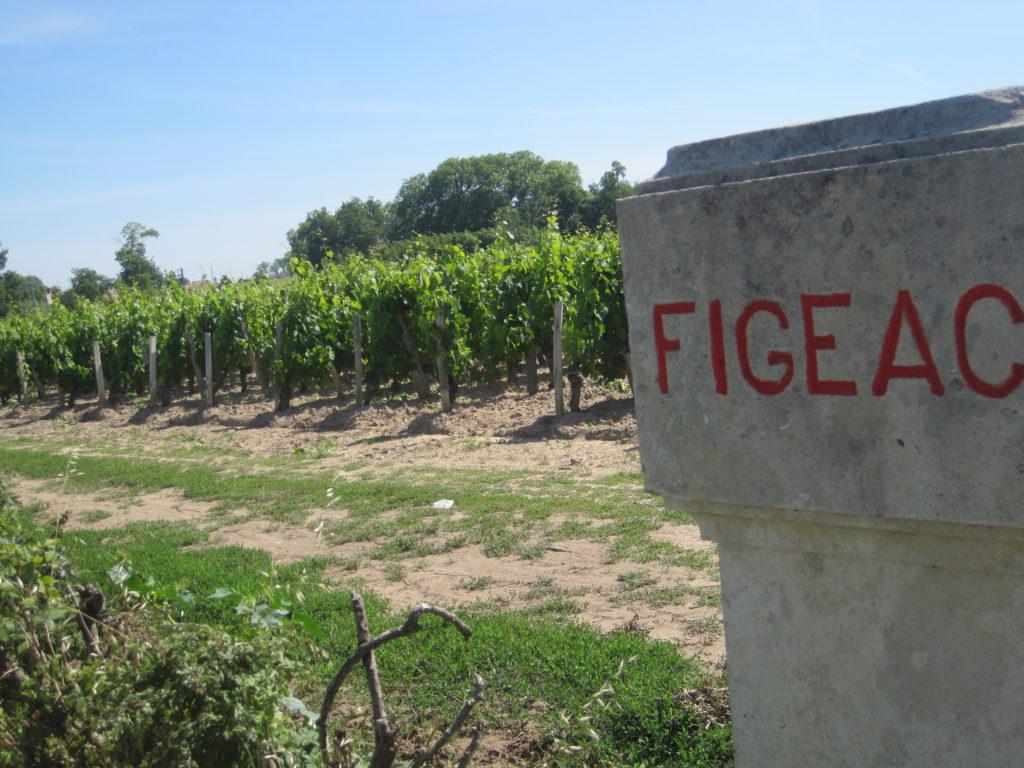 Joss Fowler on Bordeaux 2015: what are the real must-haves?