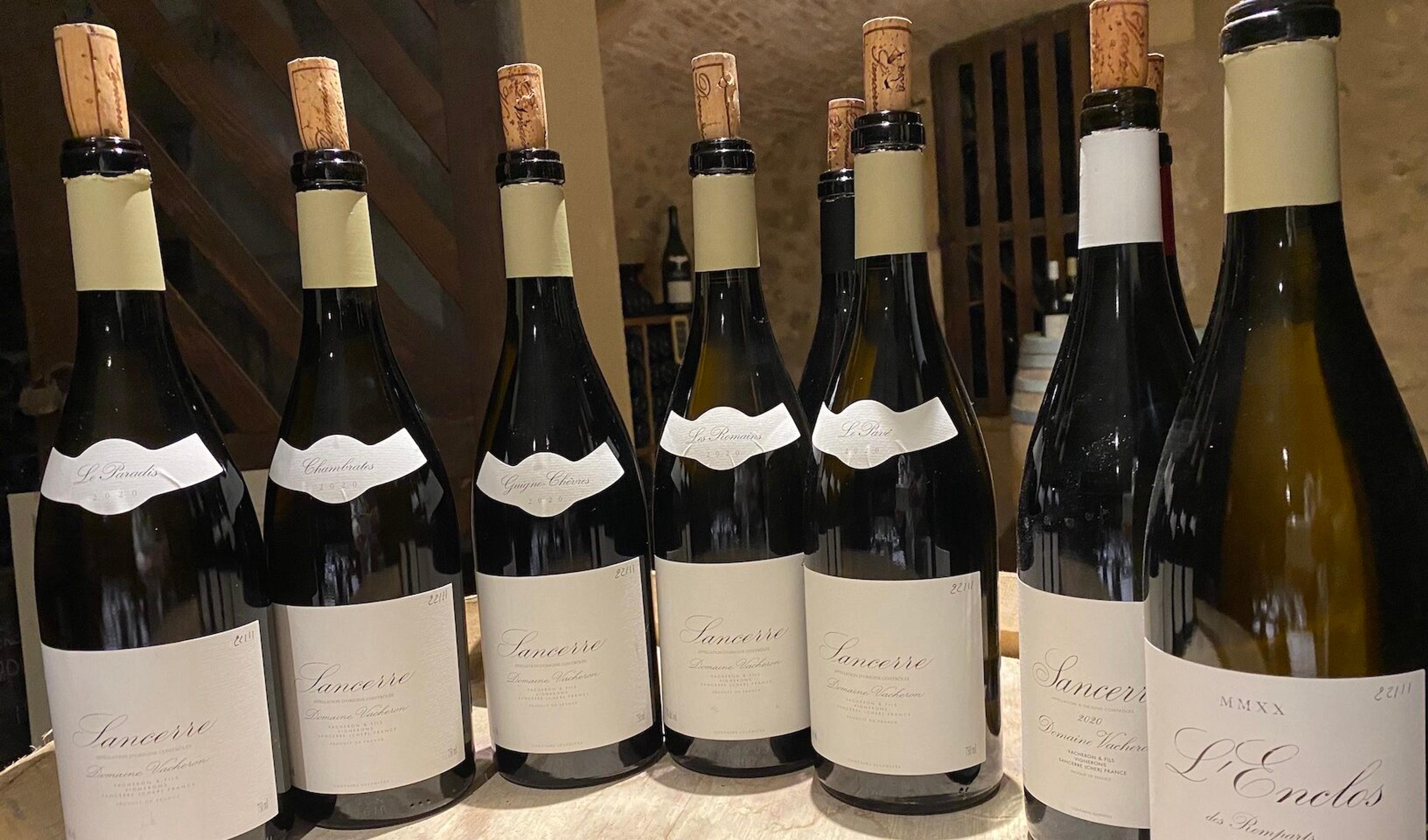Tasting Vacheron 2020 direct from the cellars at Sancerre