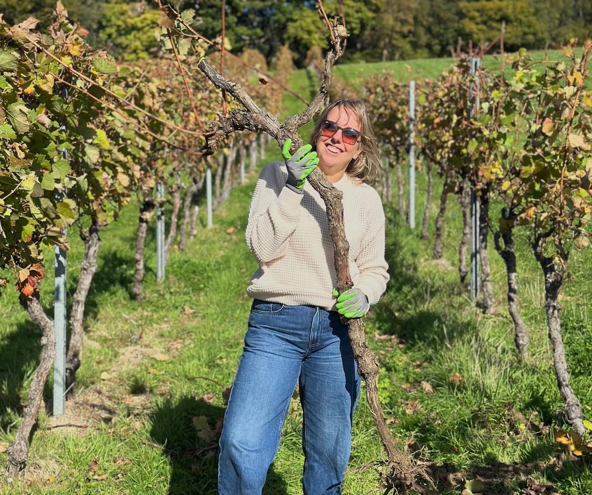 How Bolney has dug up its past to plant for the future of English wine 