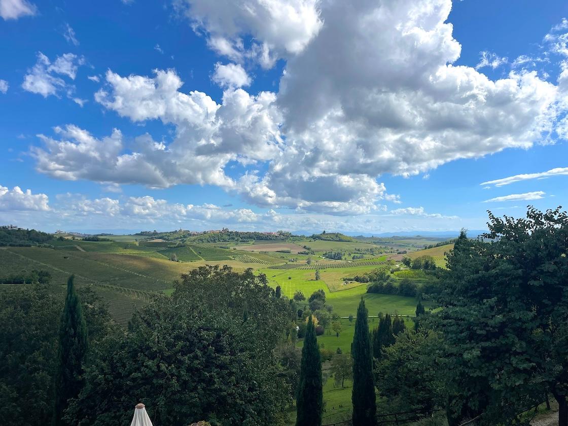 Victor Smart on how Monferrato is resuscitating 'local hero' grapes