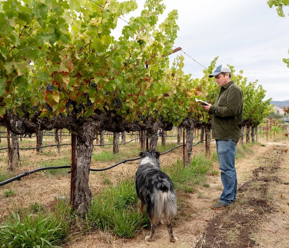 2022 Spottswoode Estate Cabernet Sauvignon