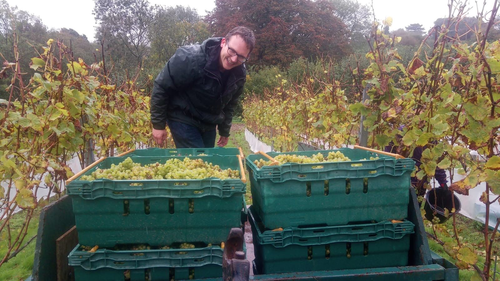 Plumpton College’s Sam Hill on what he can offer the wine trade