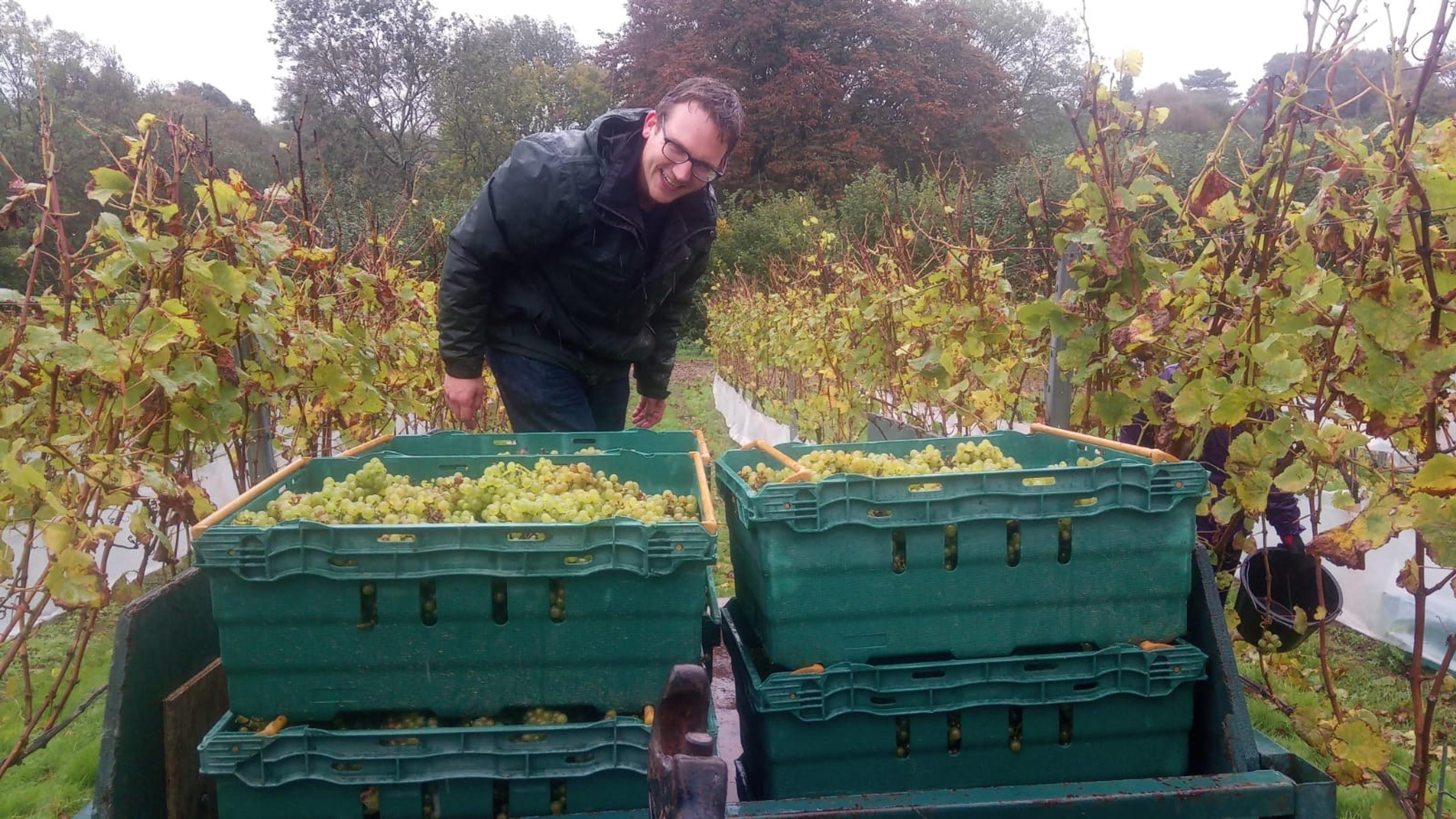 Plumpton College’s Sam Hill on what he can offer the wine trade