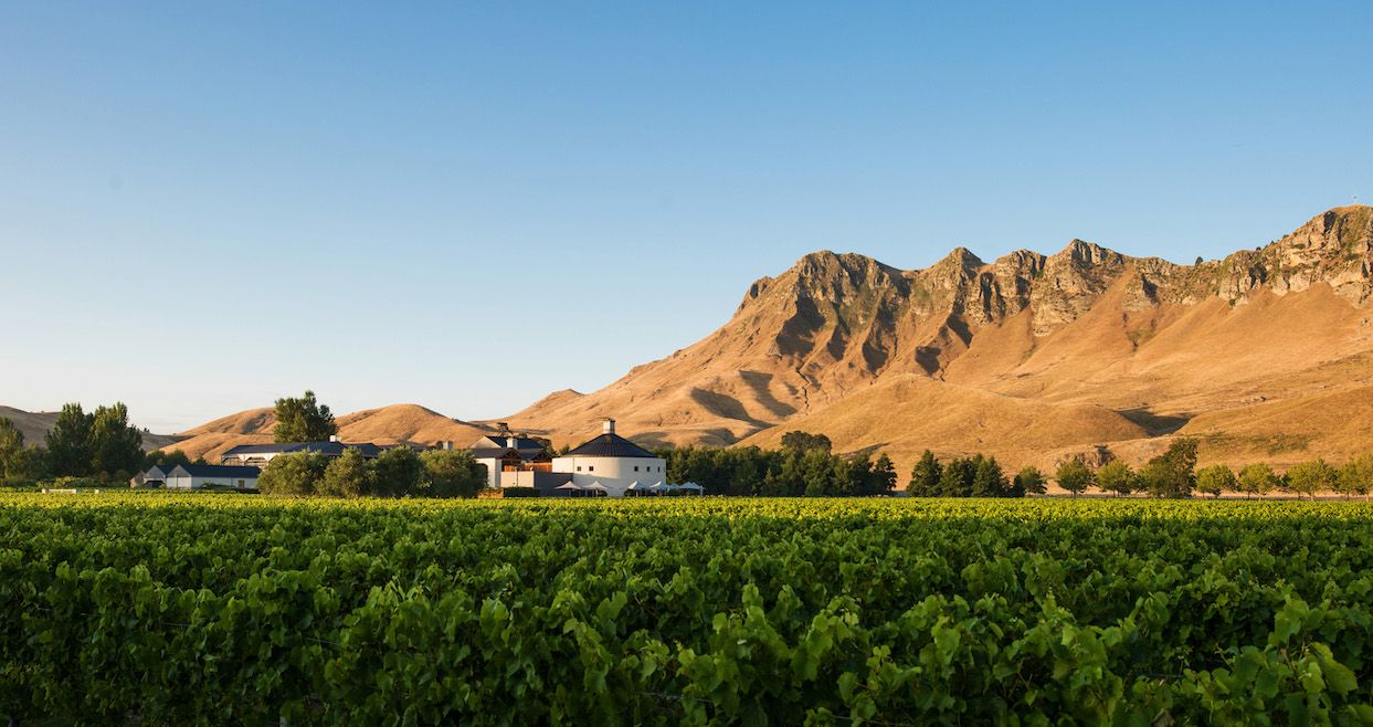 The Kiwi Syrah and Pinot Gris you really should get to know