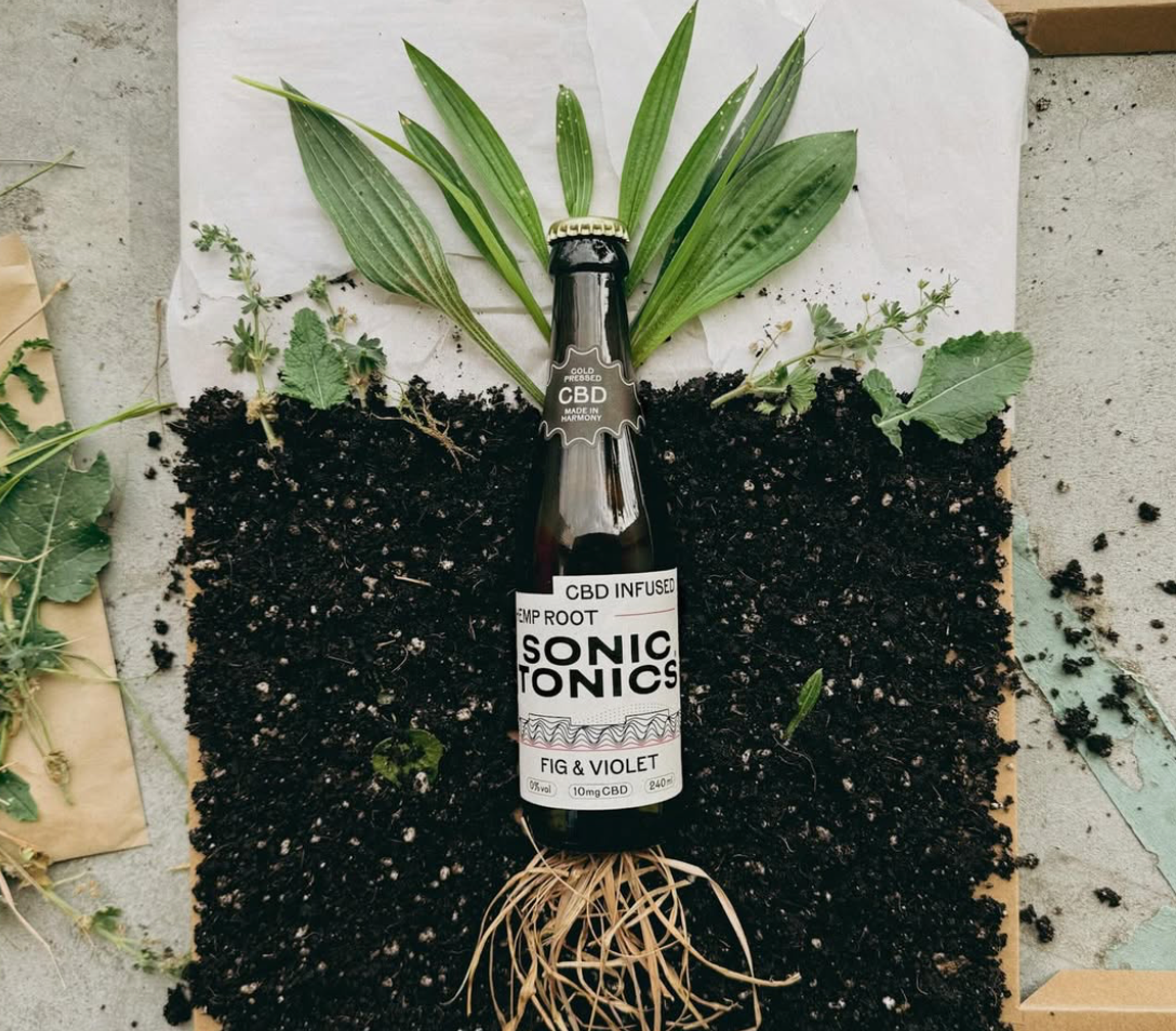 How Sonic Tonics wants to capture the mood of modern drinkers