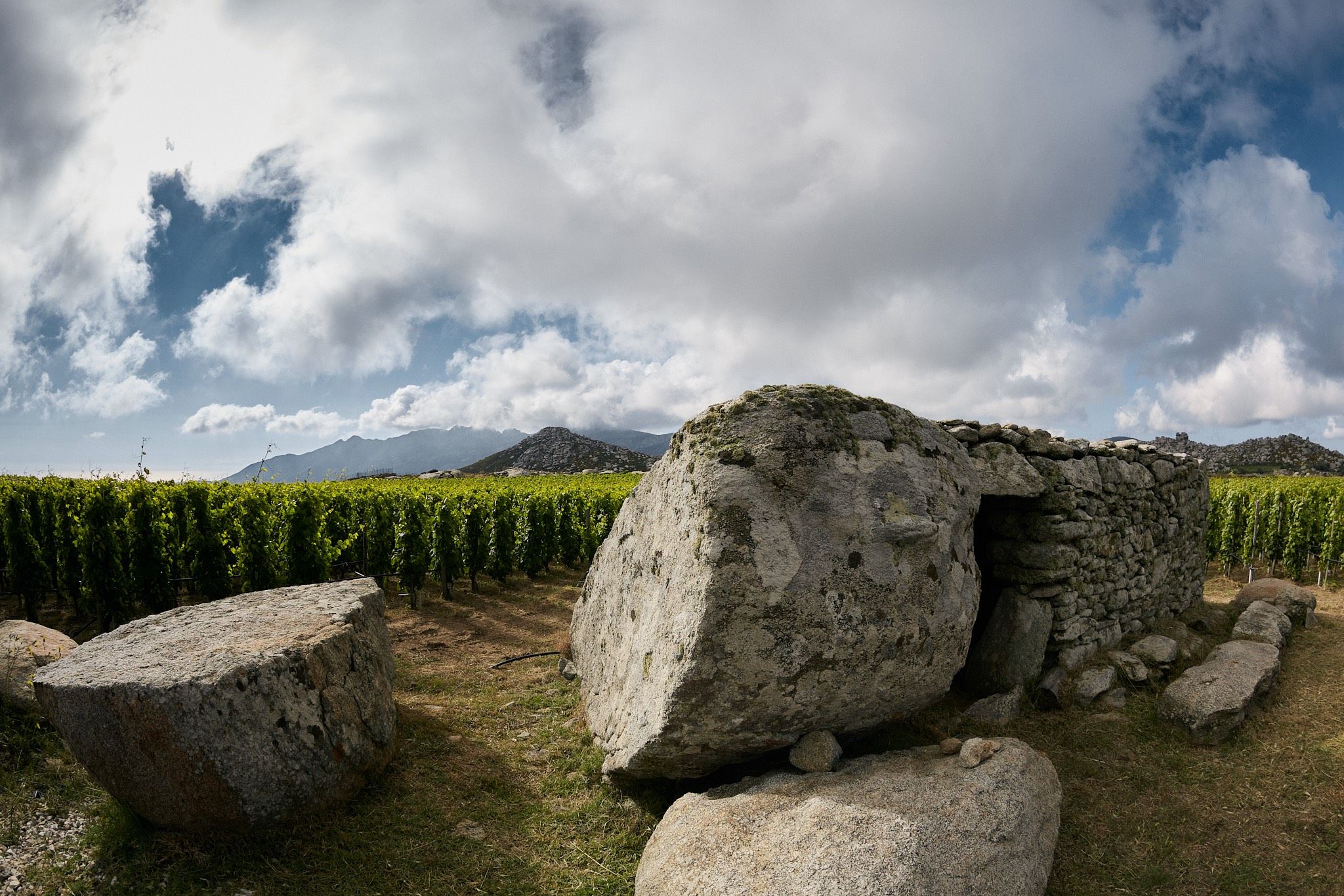 T-Oinos and the ‘beauty, identity & austerity’ of its unique winemaking