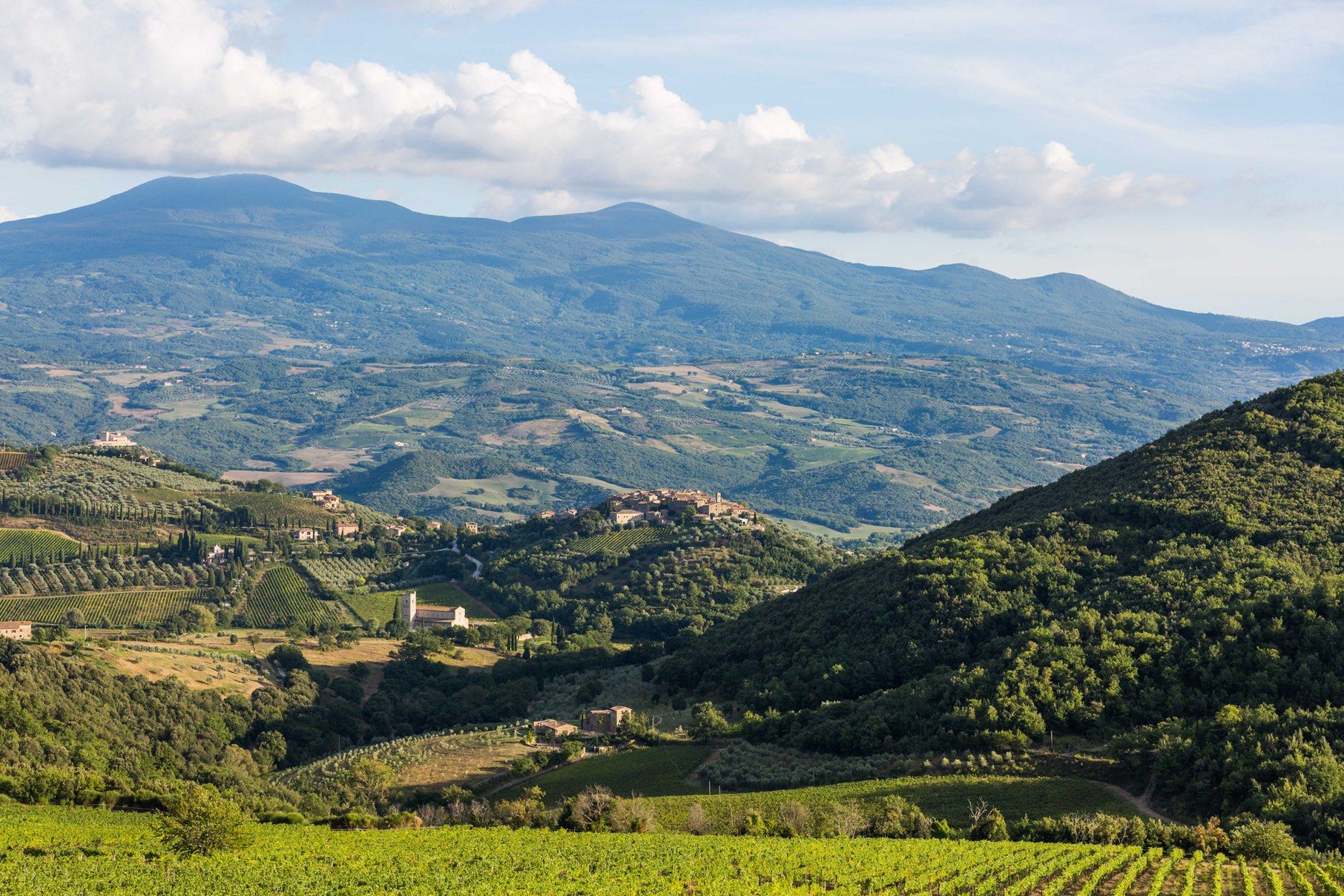 Brunello di Montalcino celebrates change ahead of en primeur tasting