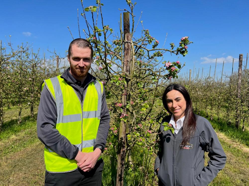 bulmers cider ireland tour