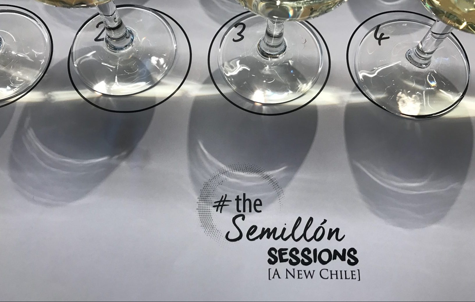 What The Semillón Sessions teaches us about Chilean Semillón