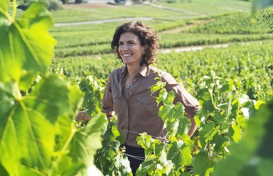 Why the new Bruno Paillard Blanc de Blancs 2012 is a class act
