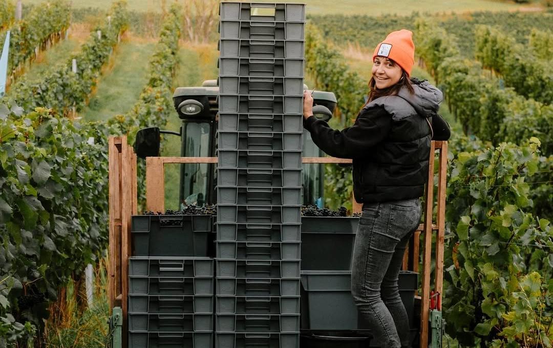 Geoffrey Dean on why we need to explore Czechia and its wines