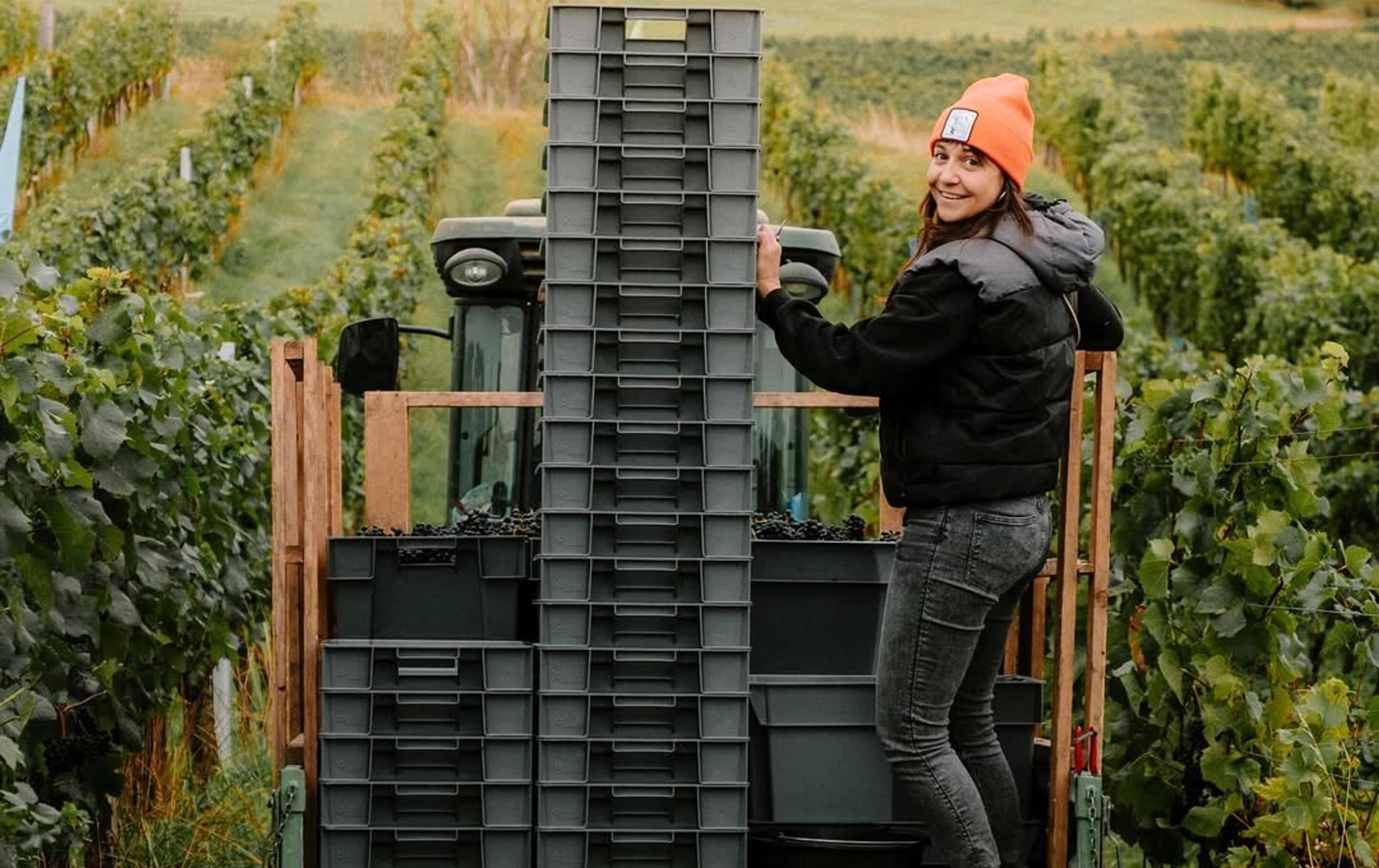 Geoffrey Dean on why we need to explore Czechia and its wines