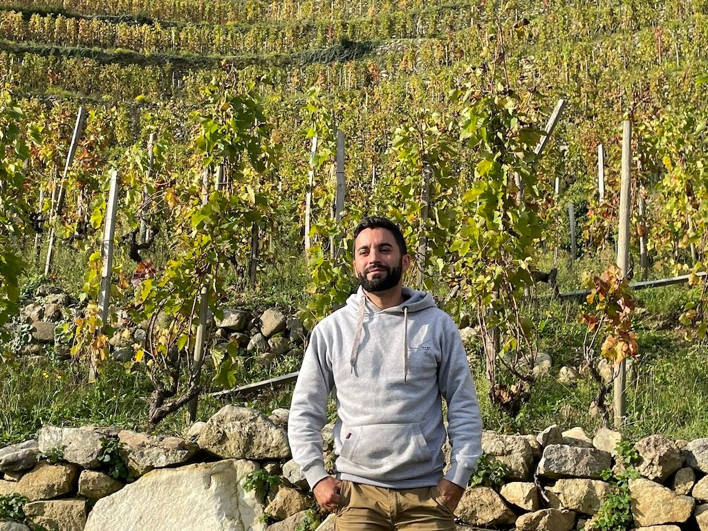 Old roots, new faces: the rise of the Right Bank Rhône’s underdogs