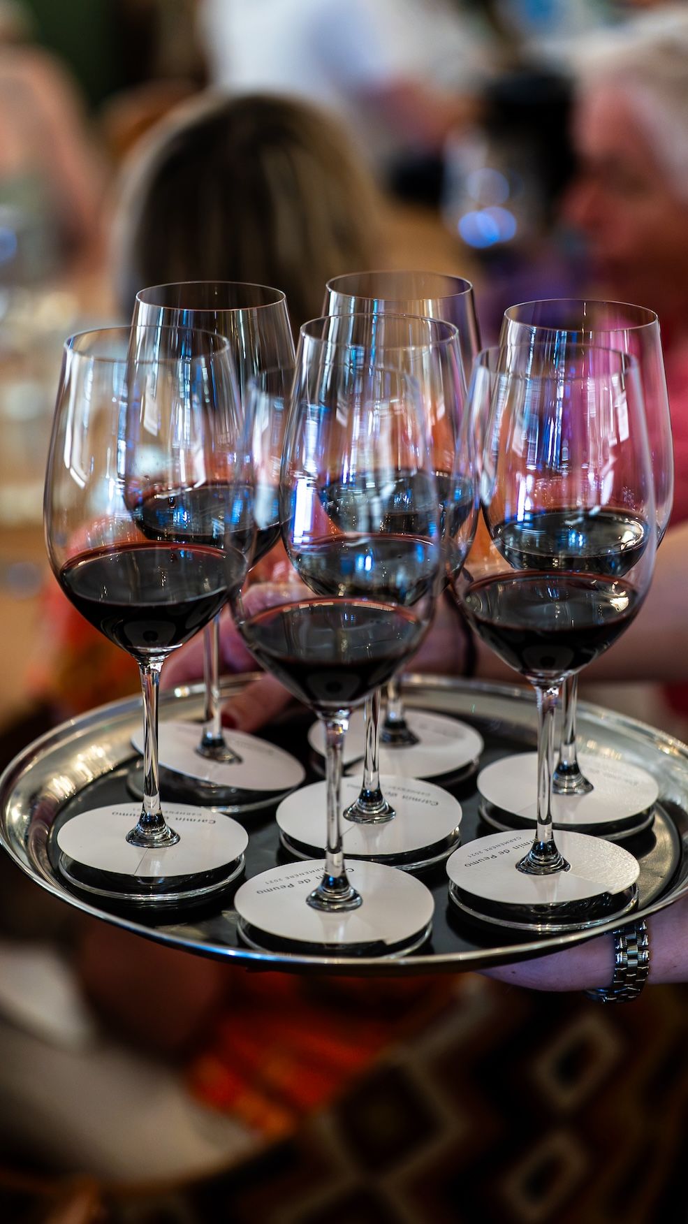 How Viña Concha y Toro is riding a wave of supple, elegant wines