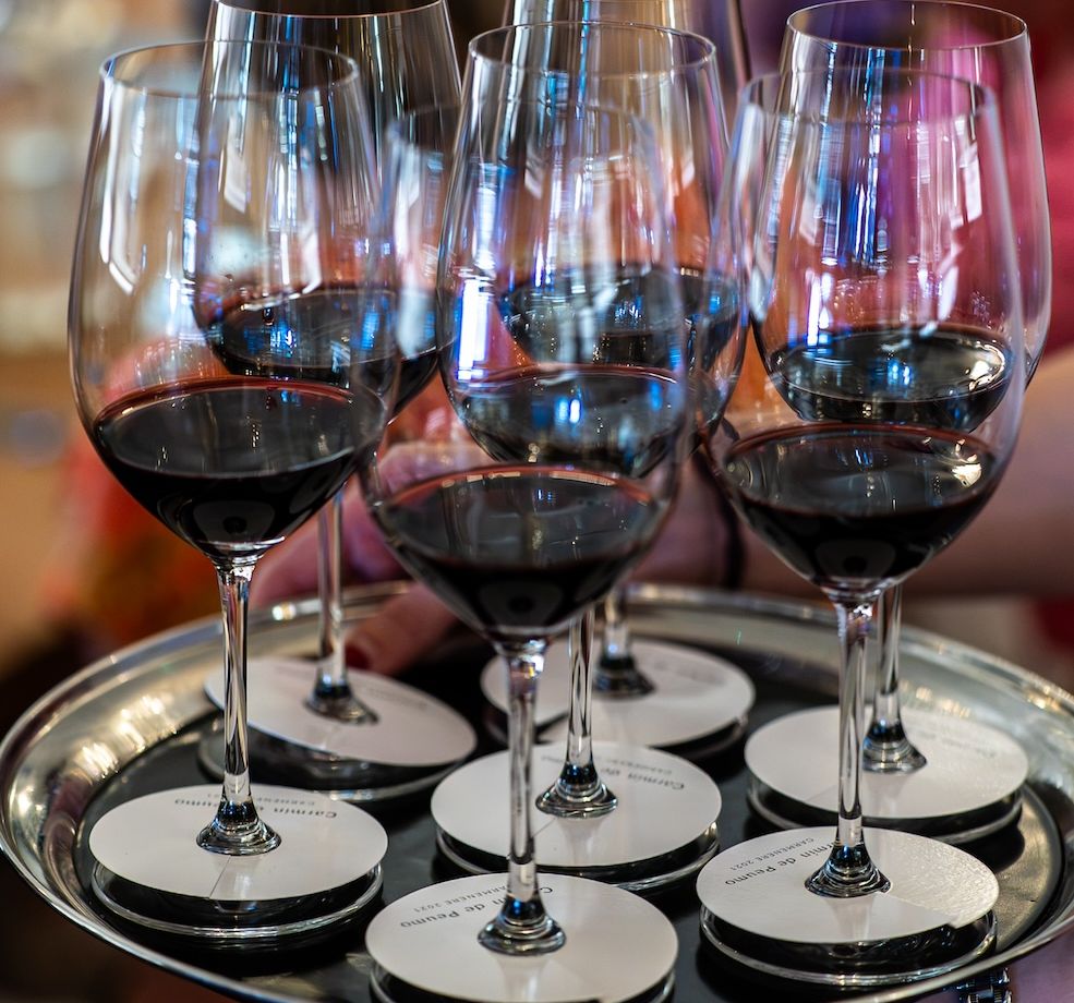How Viña Concha y Toro is riding a wave of supple, elegant wines